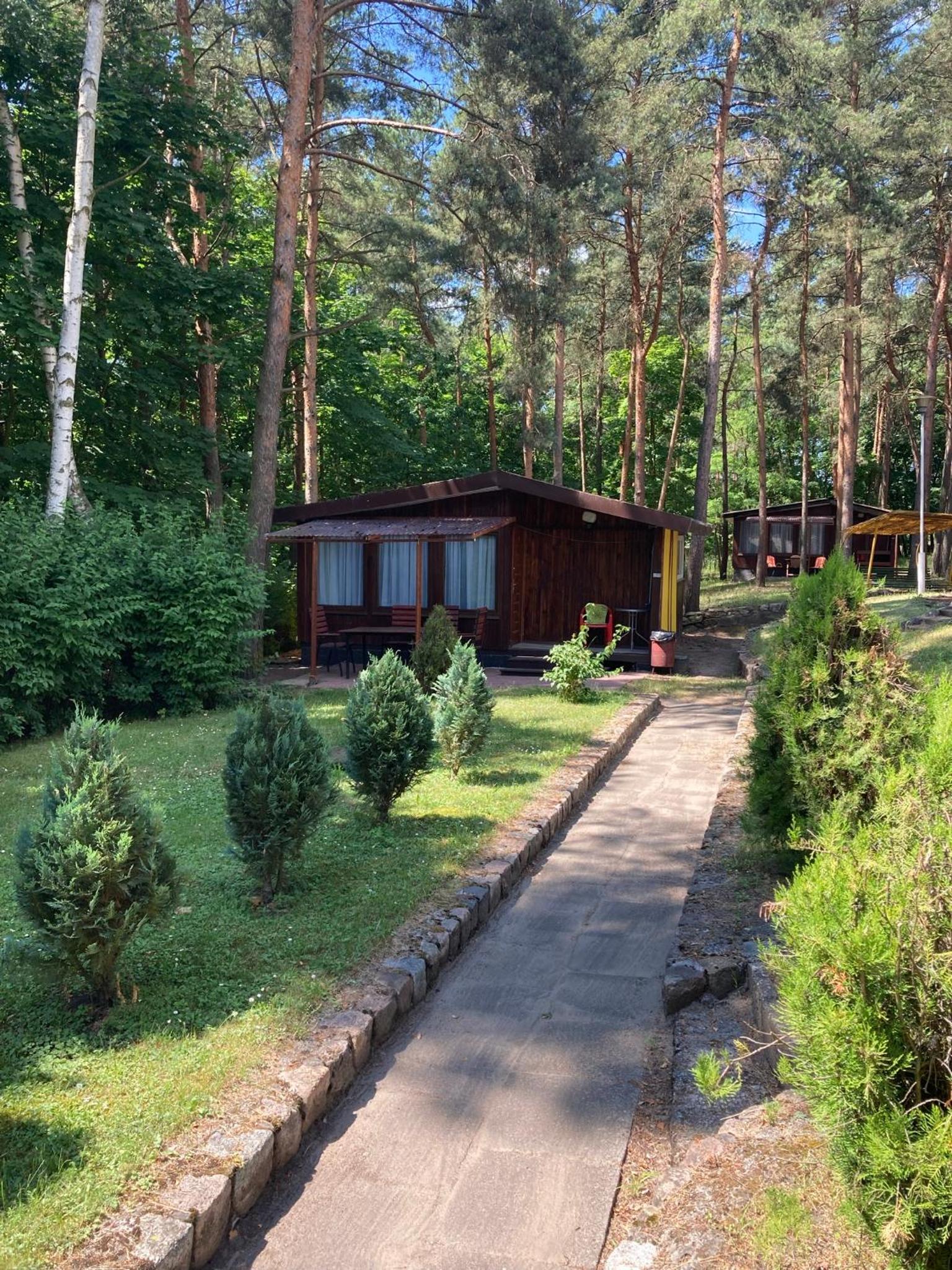 One-Bedroom Chalet photo 3