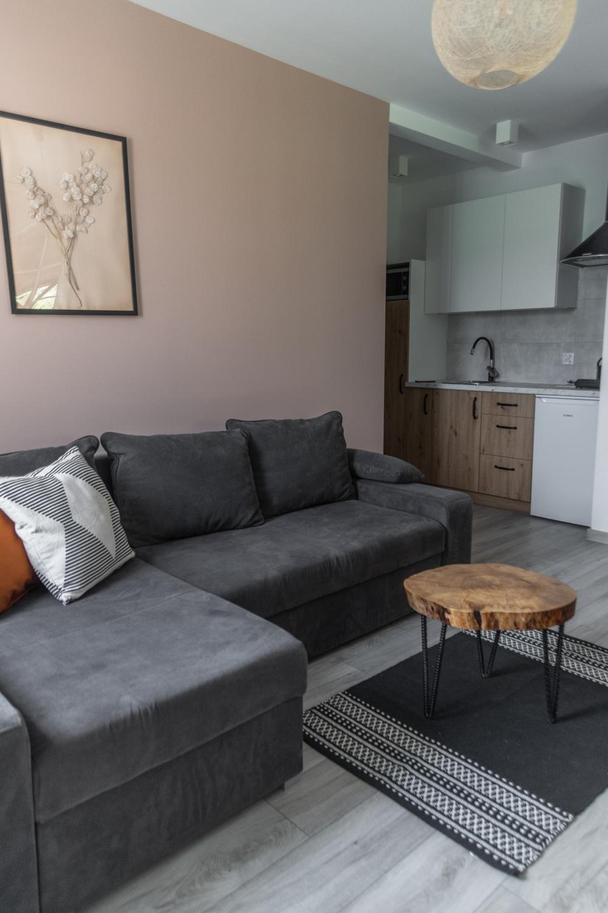 One-Bedroom Apartment photo 2