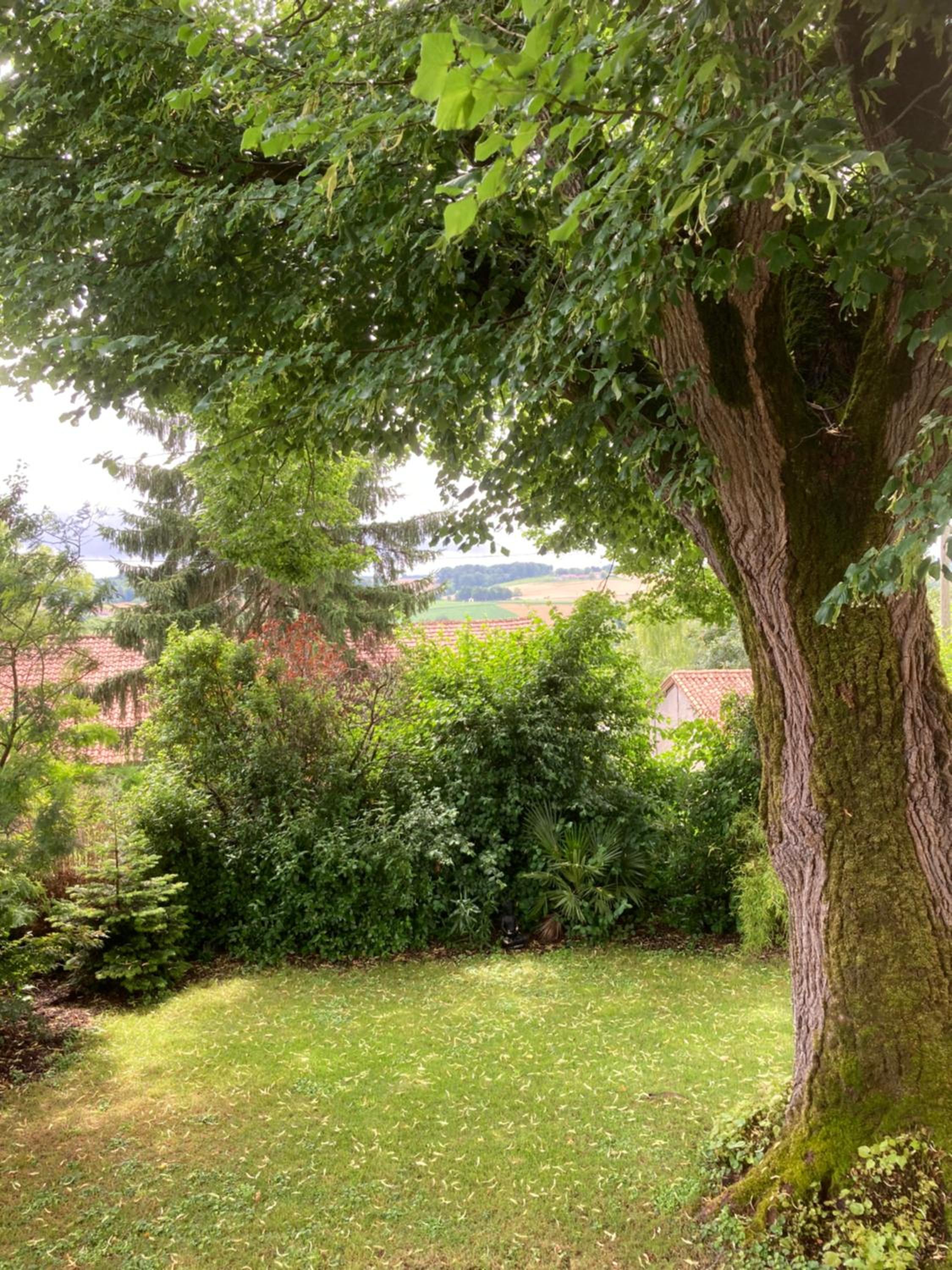 Family Room with Garden View photo 3