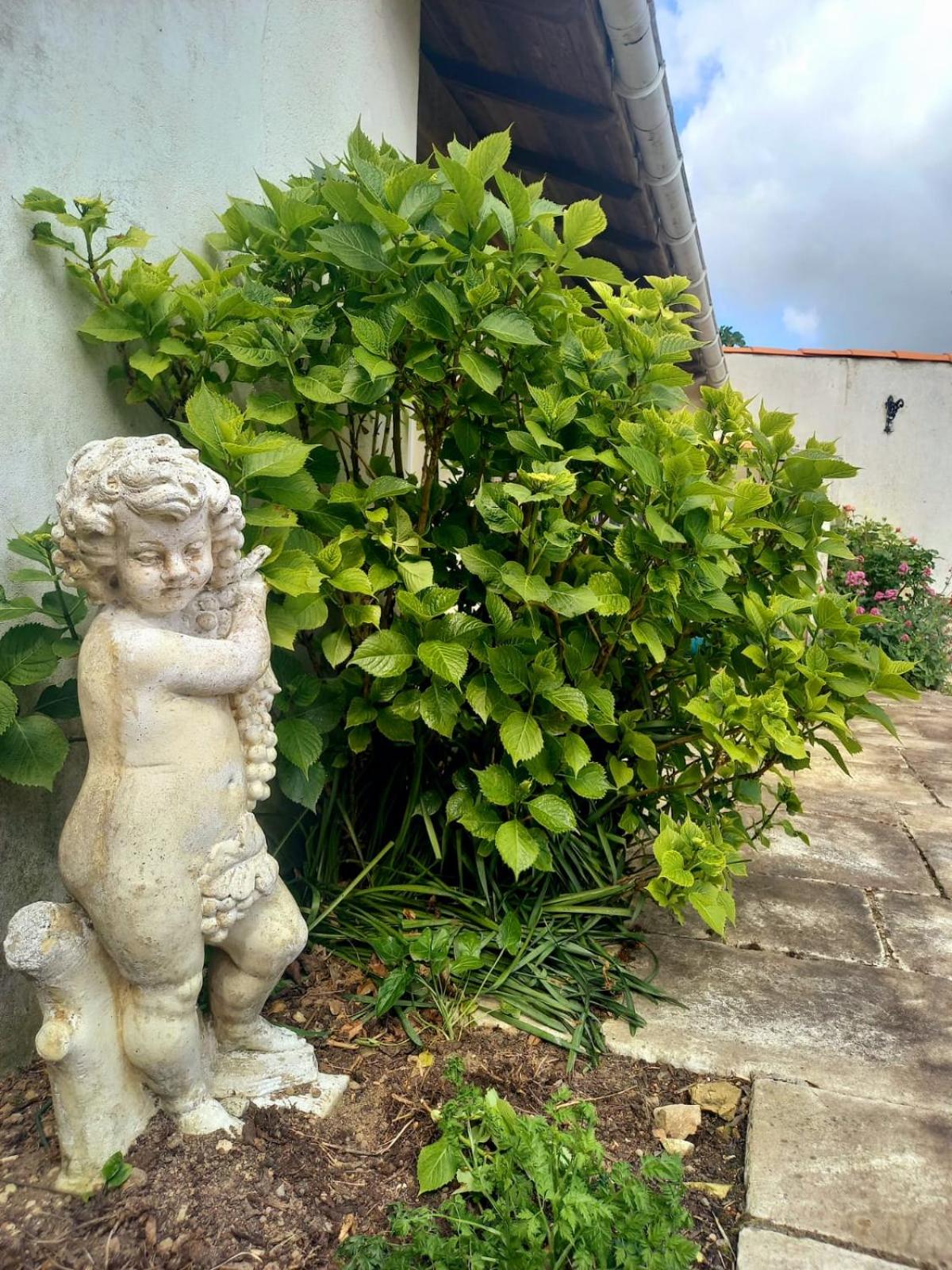 Queen Room with Garden View photo 2