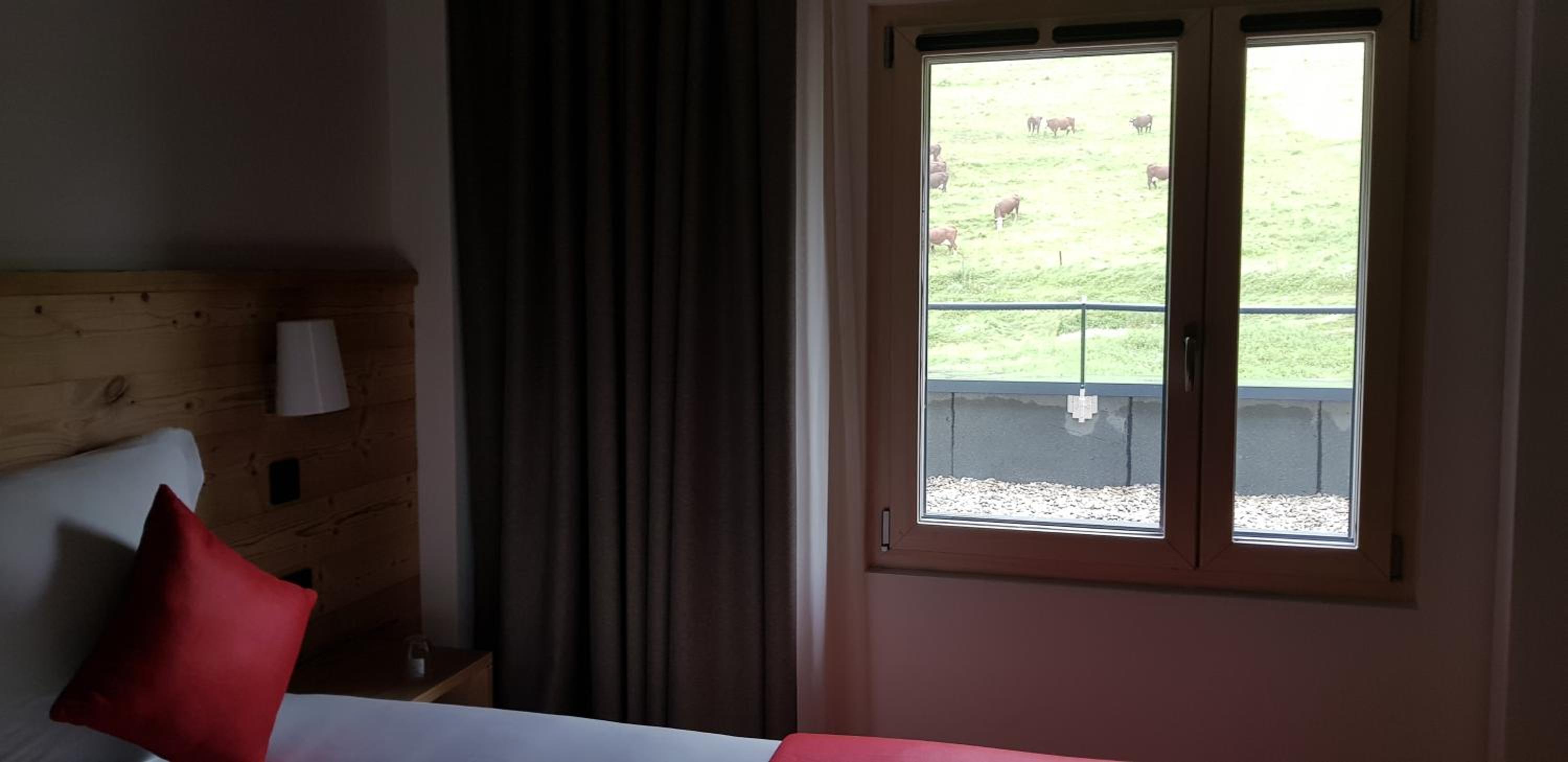 Suite - Photo 3