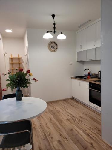 Studio Apartment - Photo 4