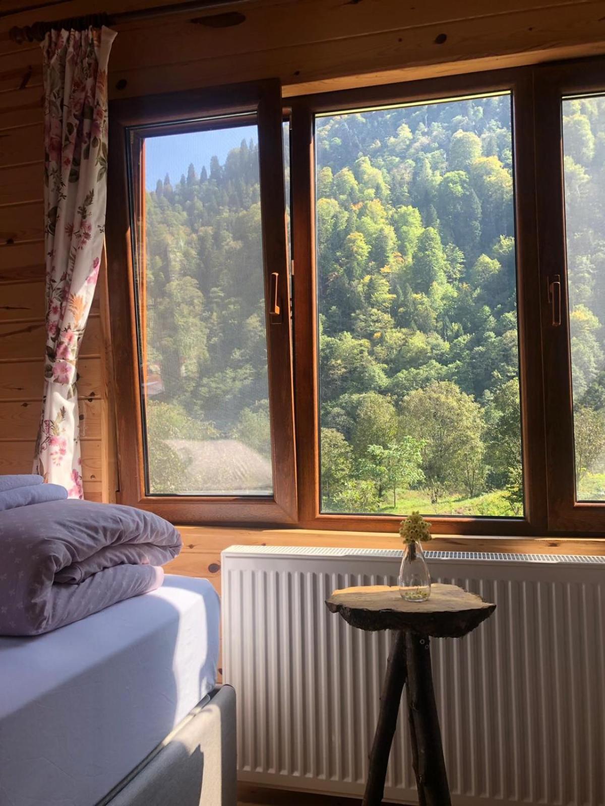 Twin Room with View