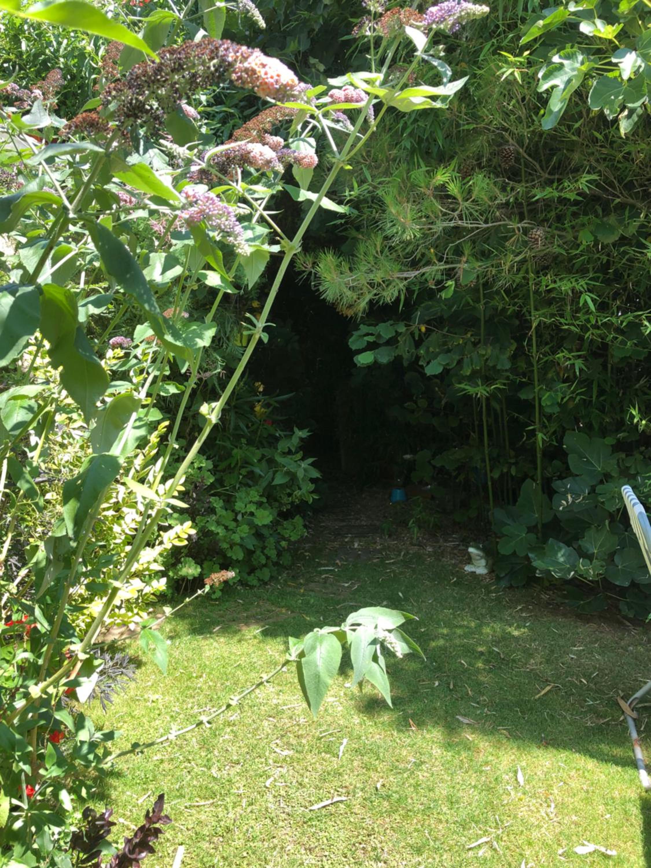 One-Bedroom House - Photo 4