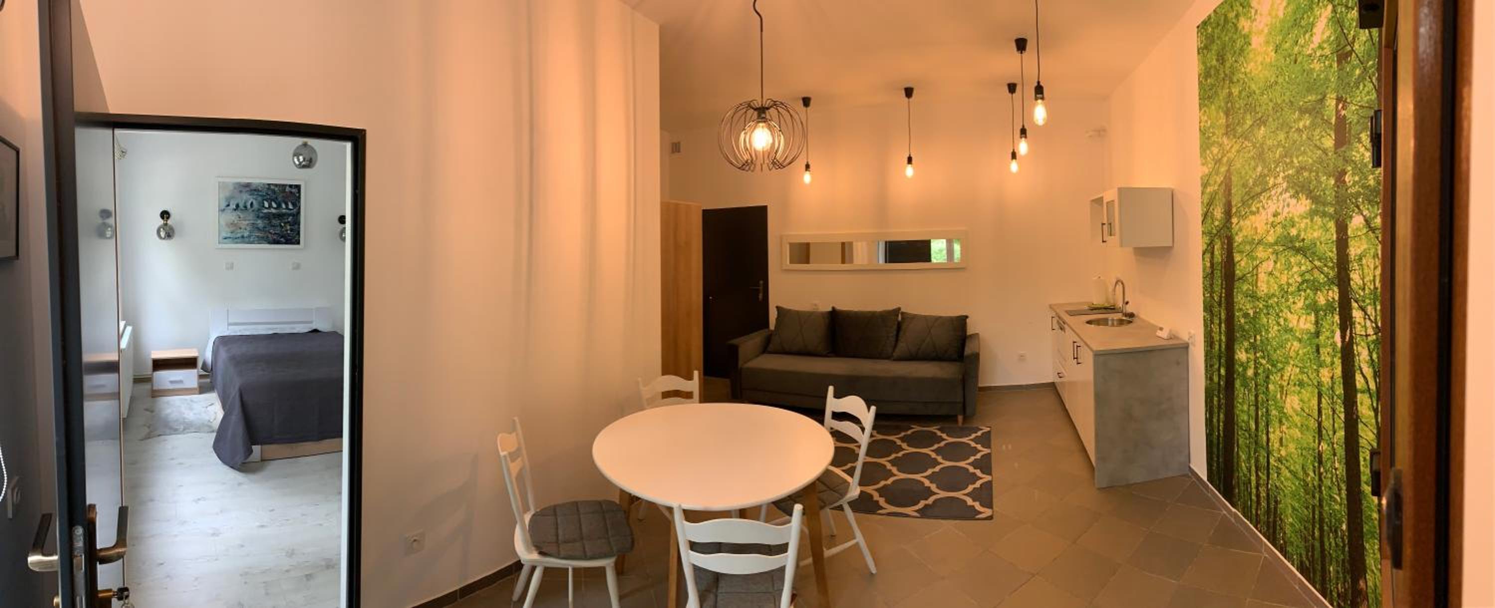 One-Bedroom Apartment - Photo 4