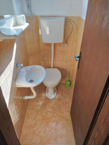 Single Room with Garden View