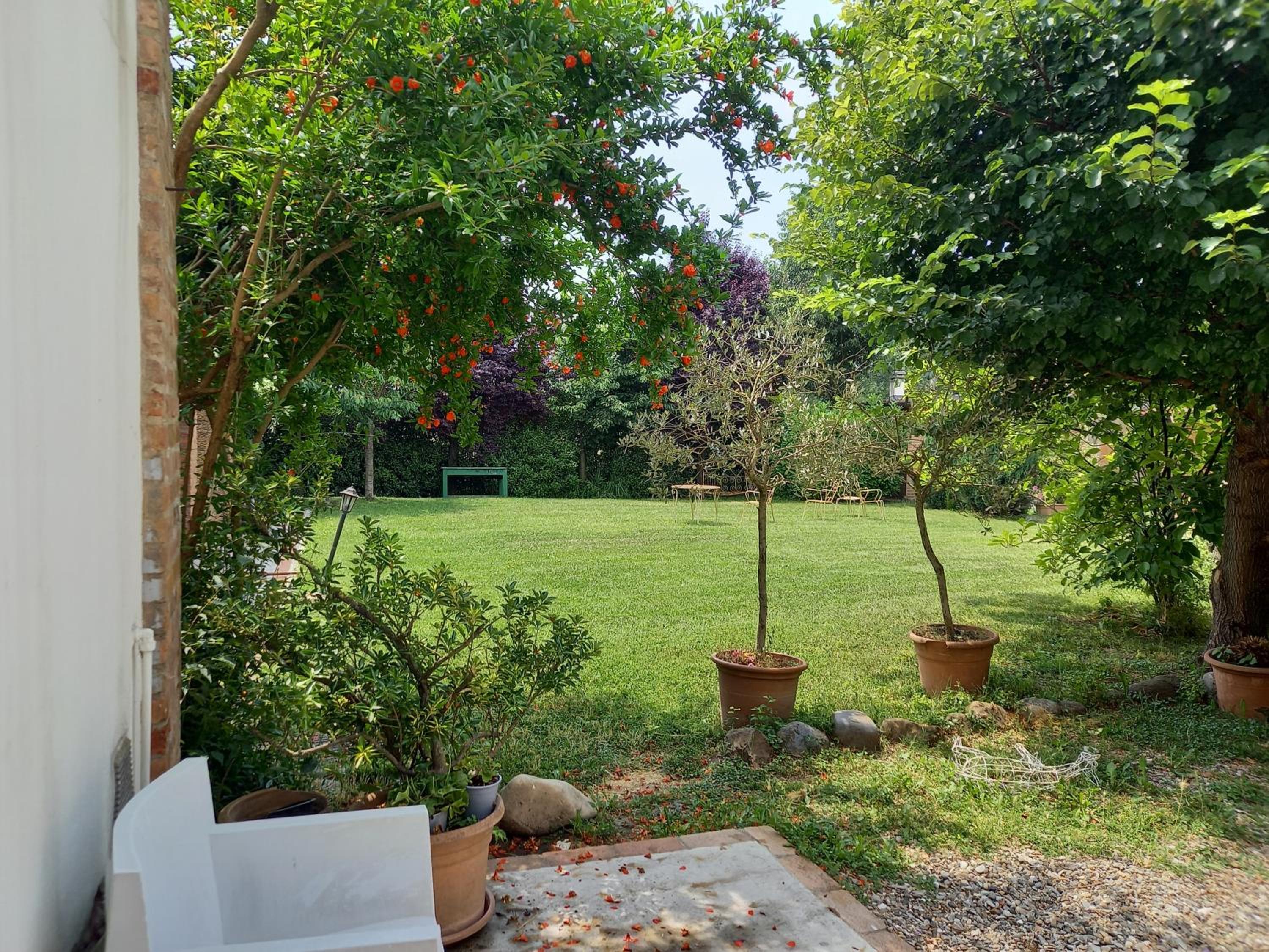 Double Room with Garden View photo 2