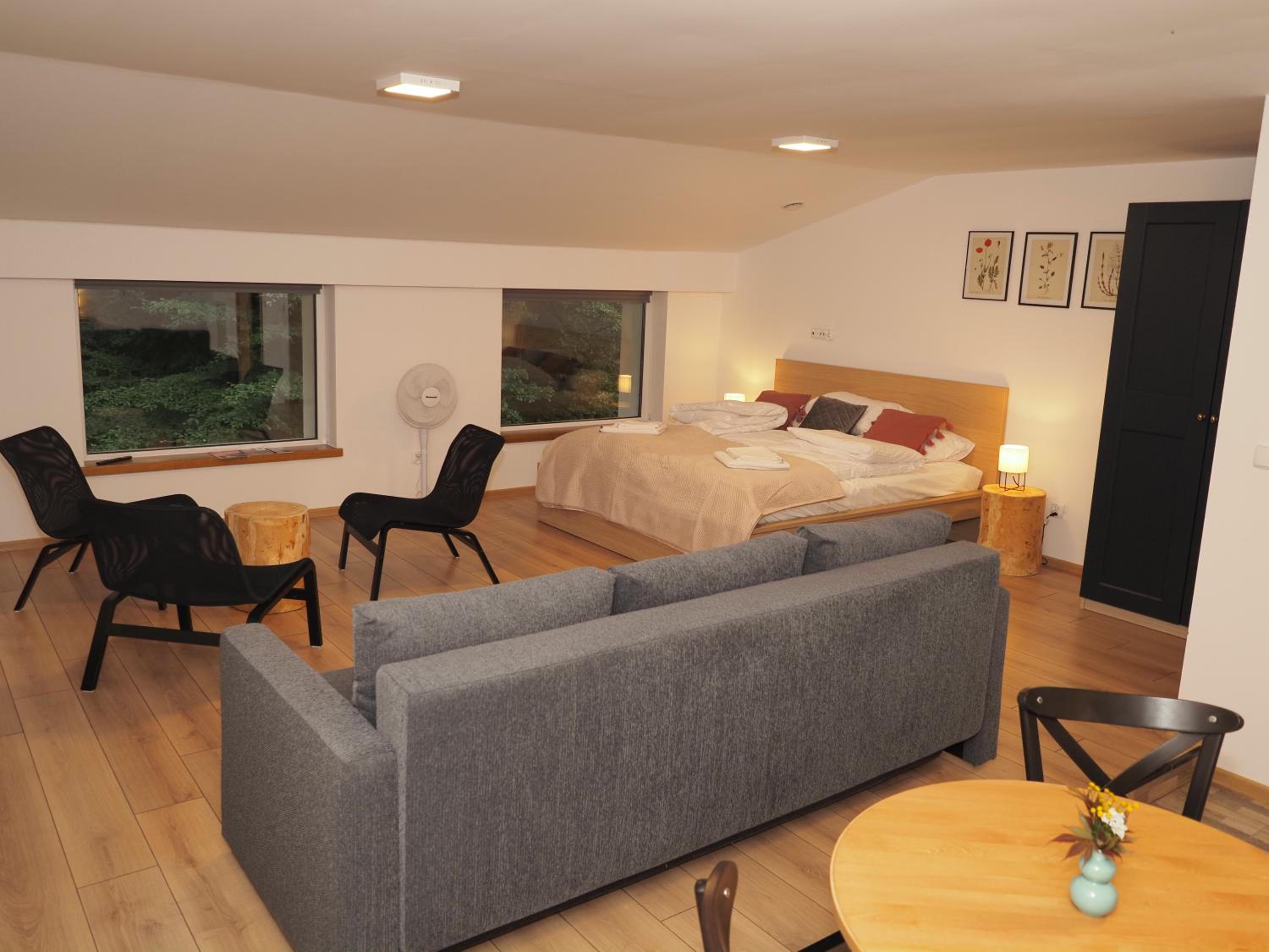 Studio Apartment photo 1
