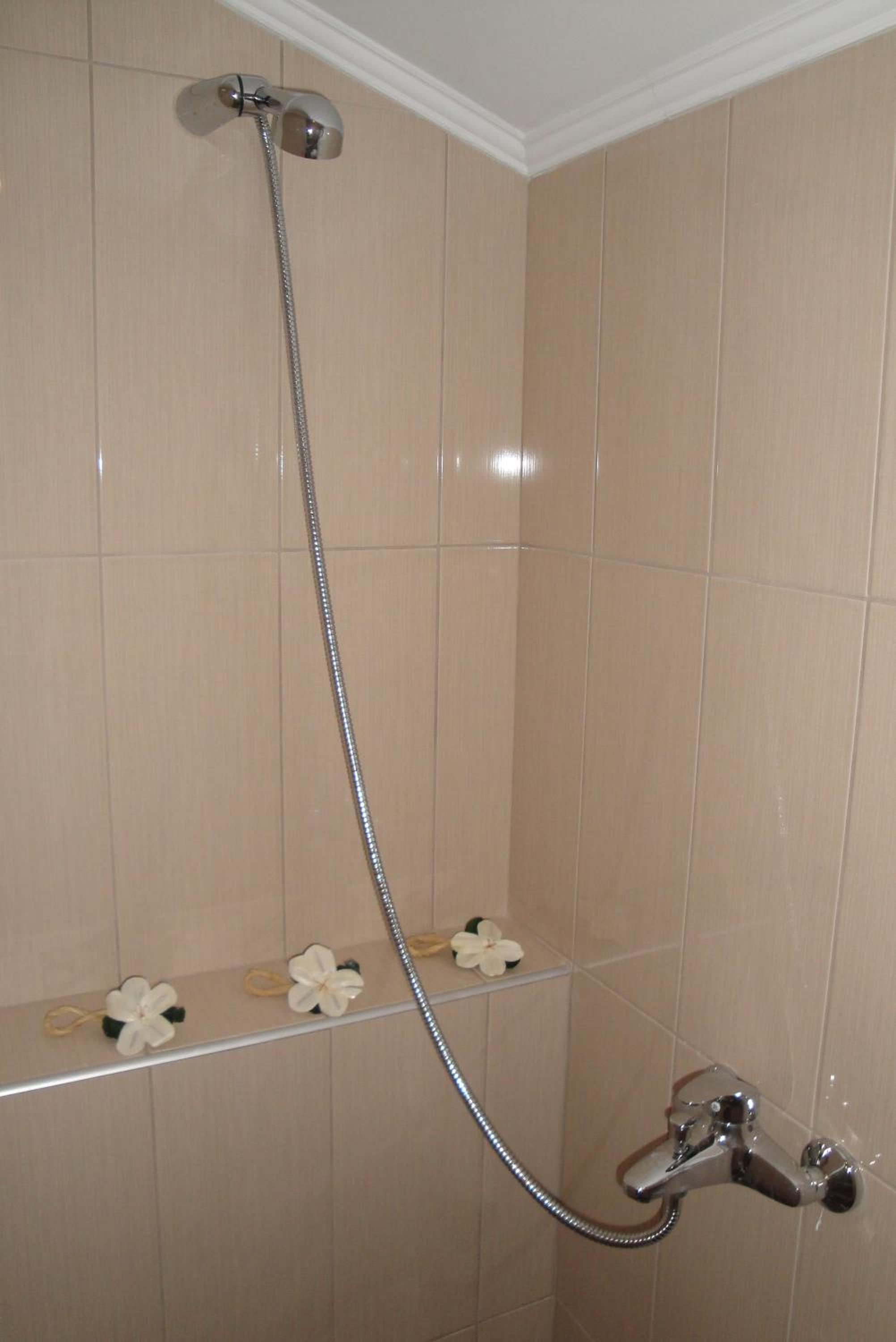 Studio (2-3 Adults)