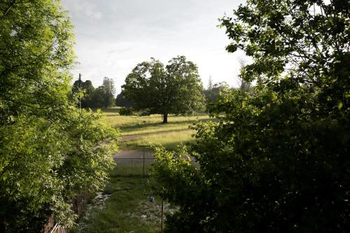 Double Room with Garden View