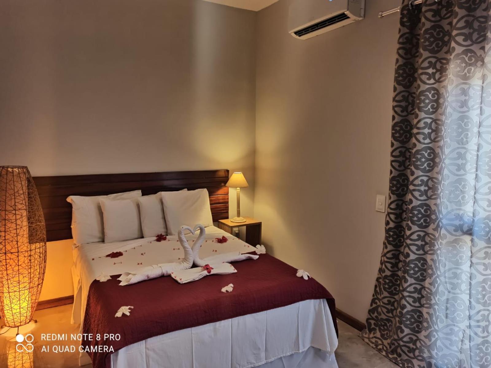 Double Room with Garden View photo 3
