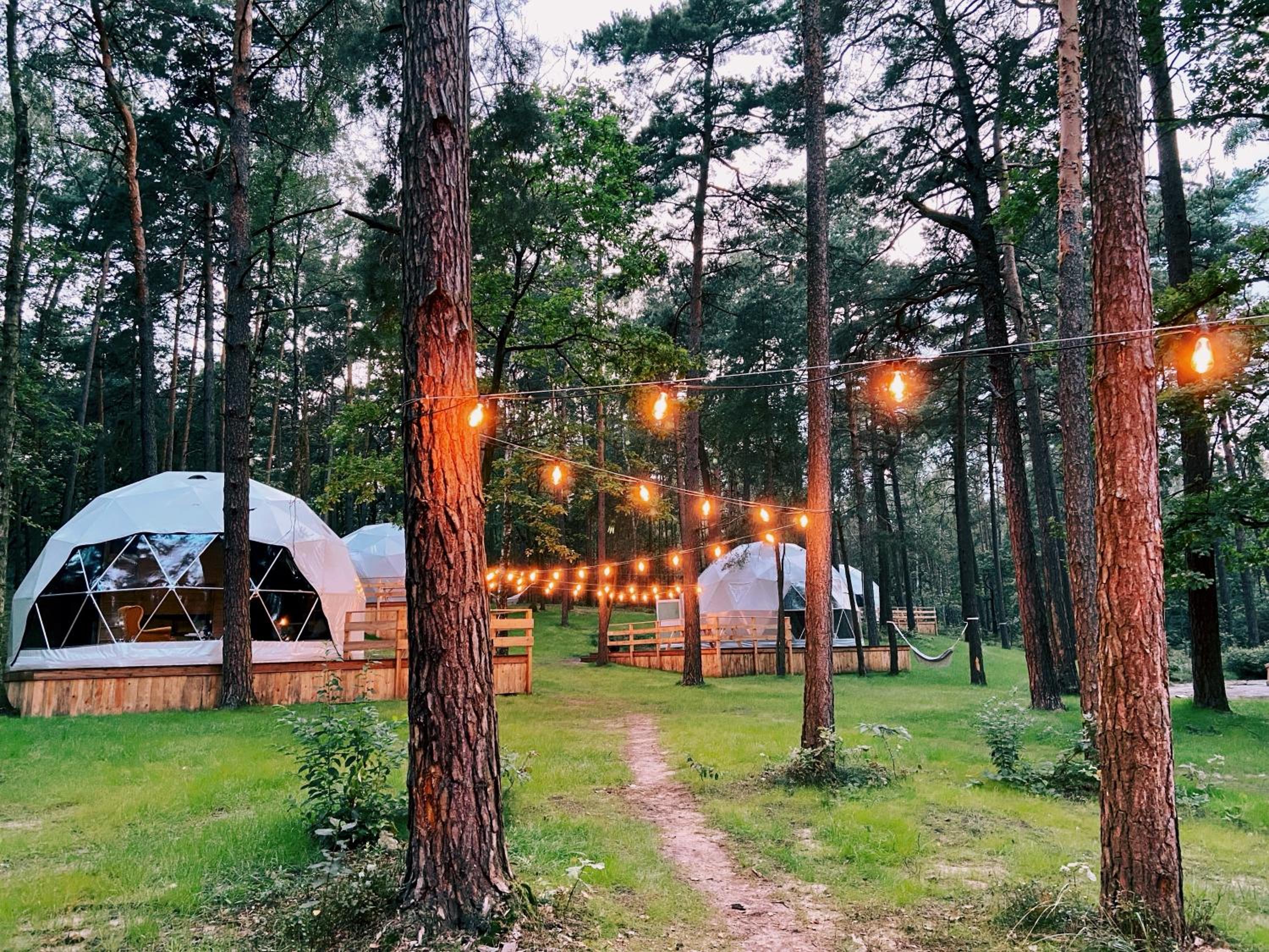 Tent - Photo 10