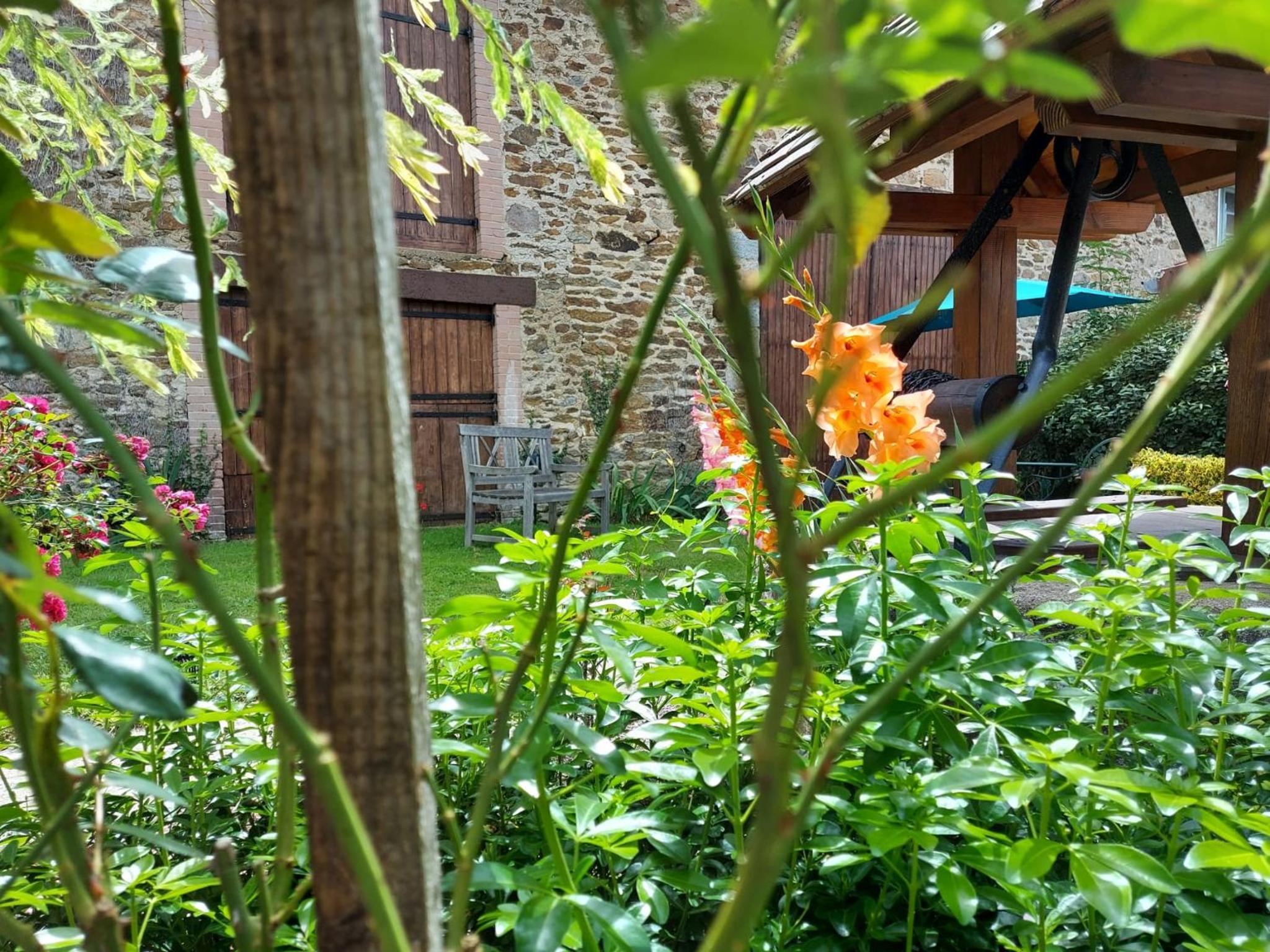 Apartment with Garden View photo 3