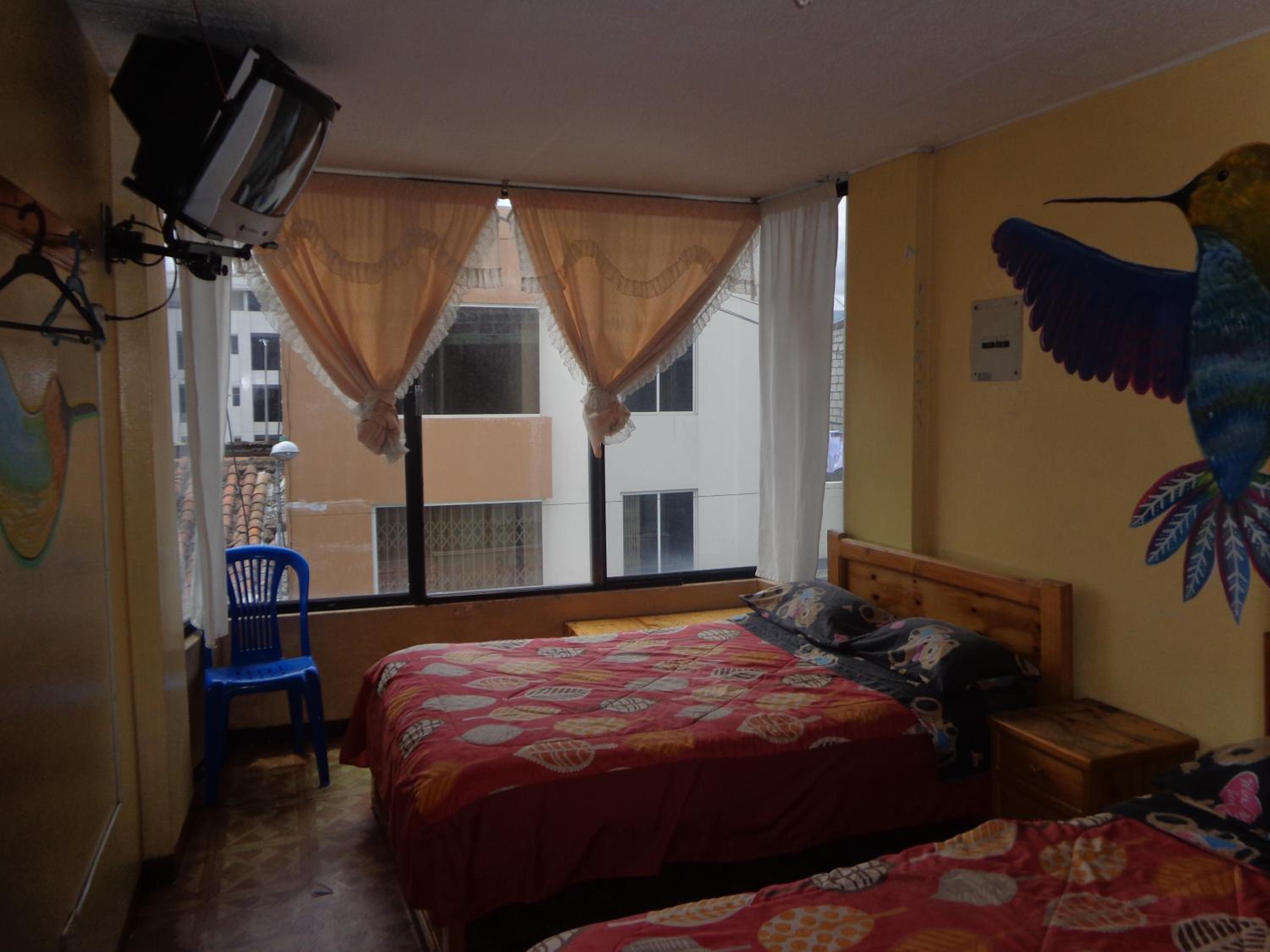 Twin Room photo 1