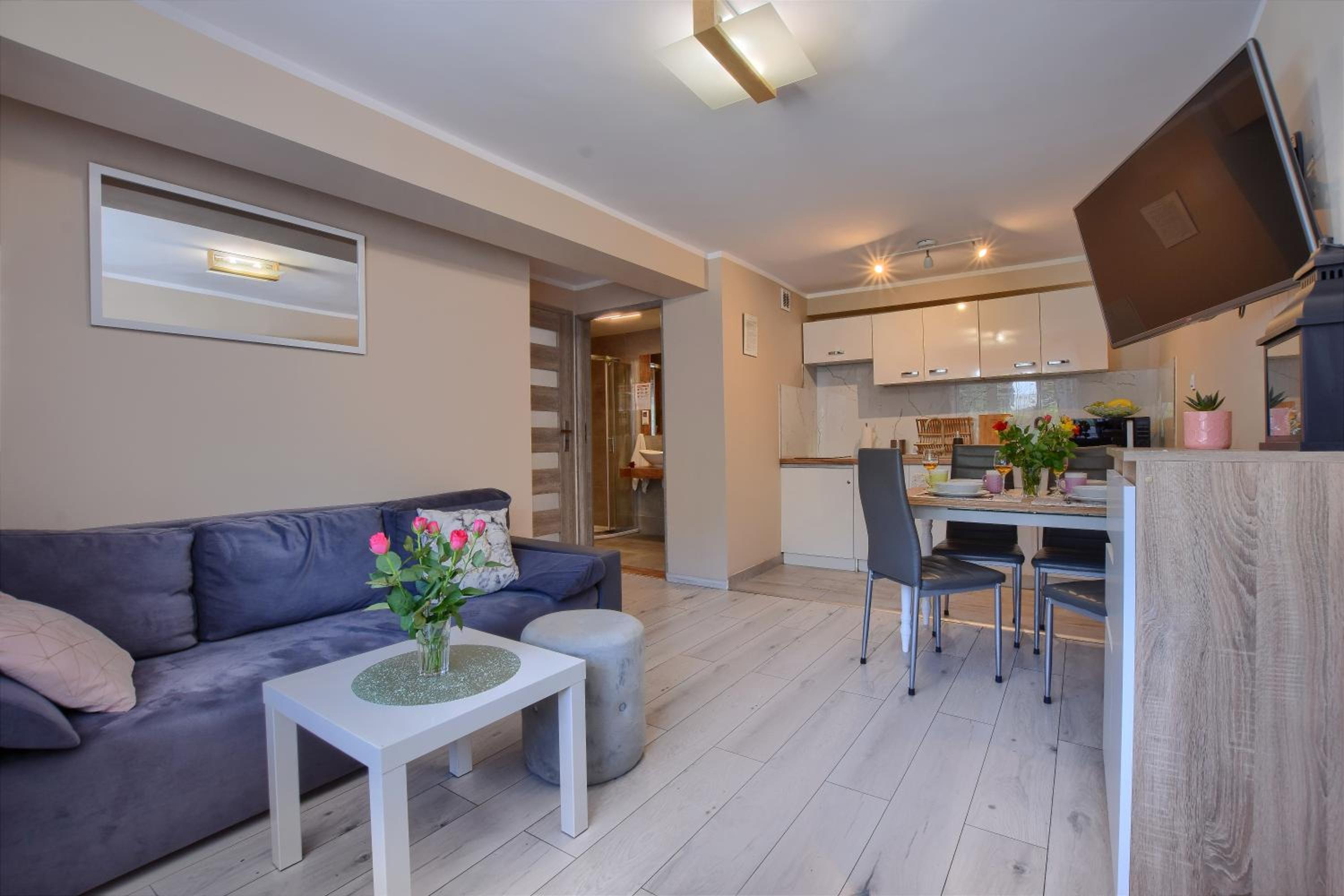 Studio Apartment photo 2