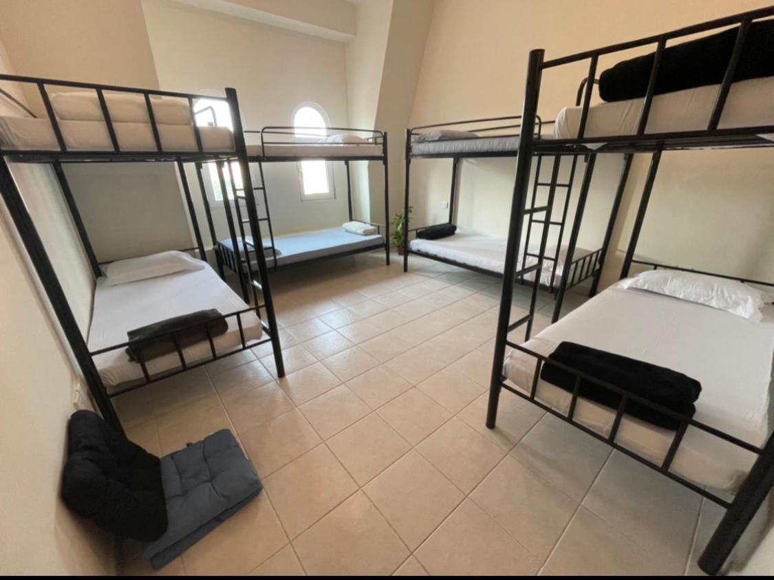 Bed in 8-Bed Mixed Dormitory Room photo 1