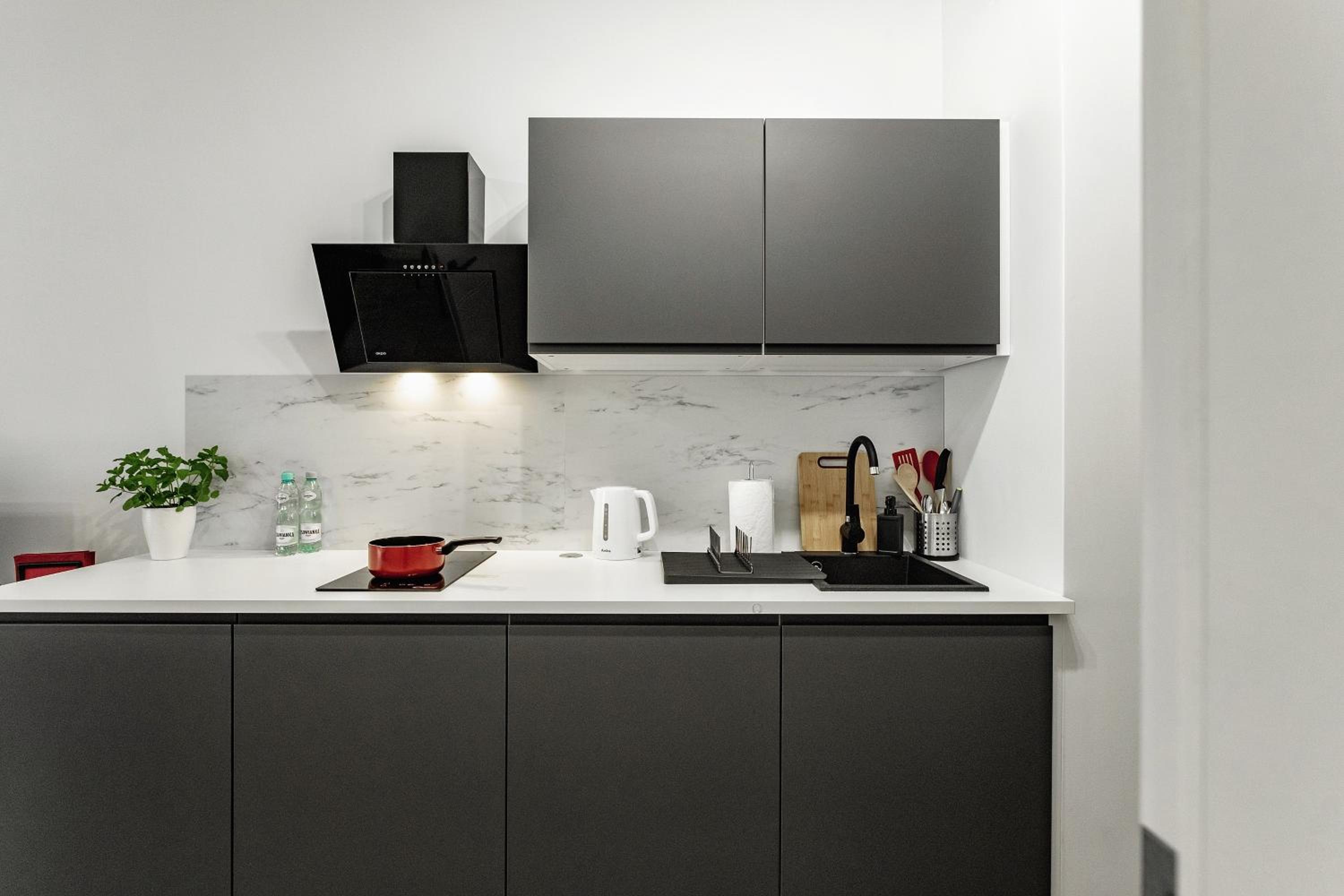 Standard Apartment photo 2