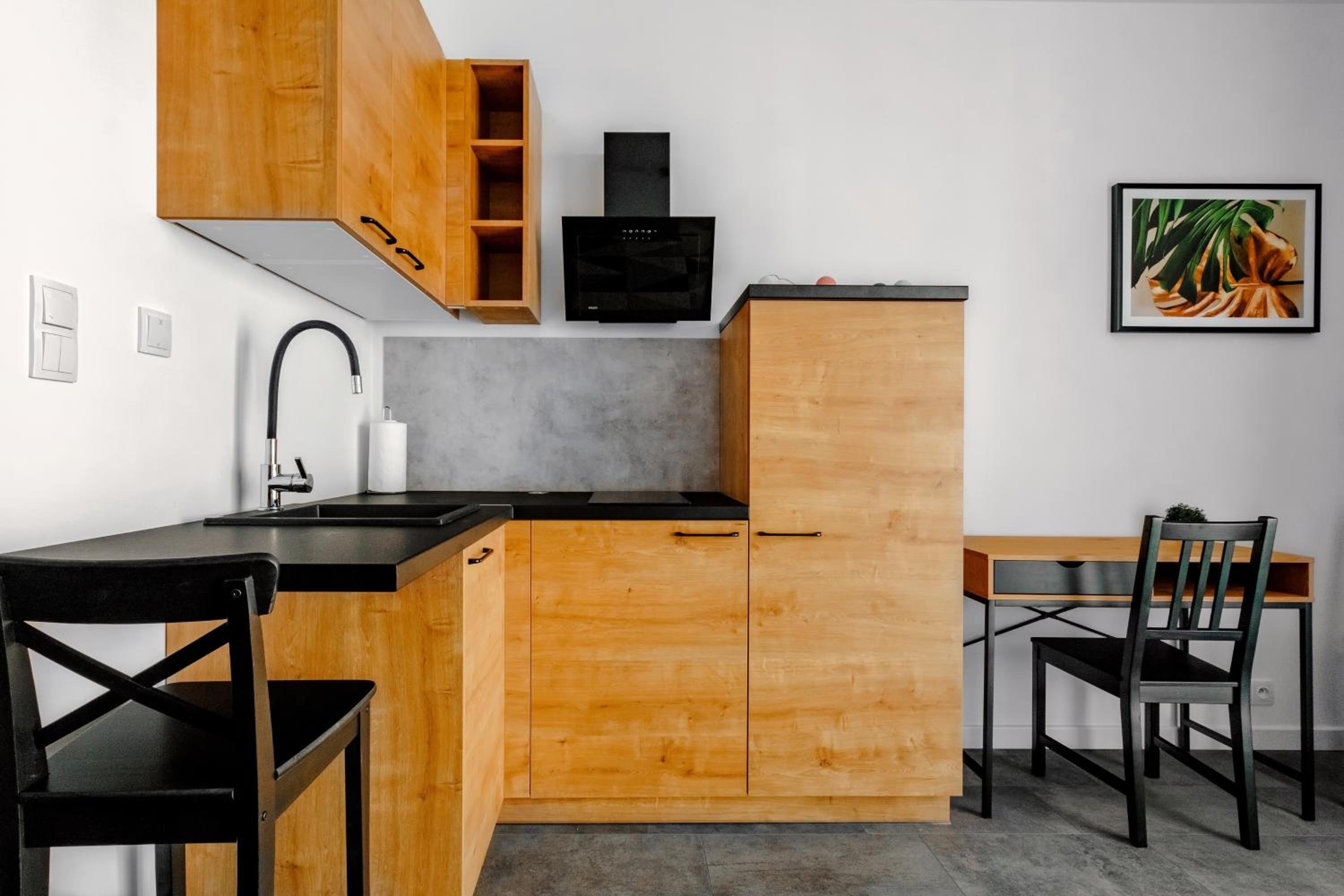 Studio Apartment photo 3