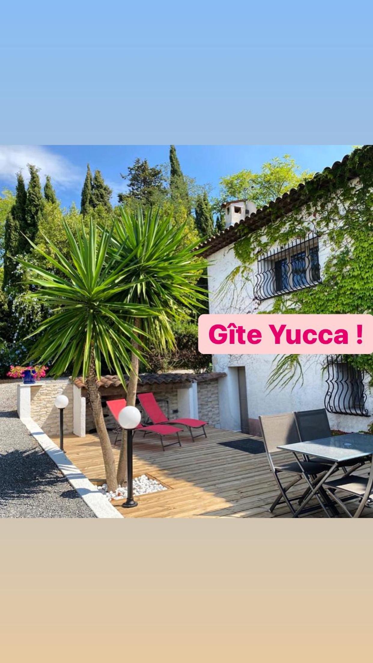 Apartment with Terrace photo 1