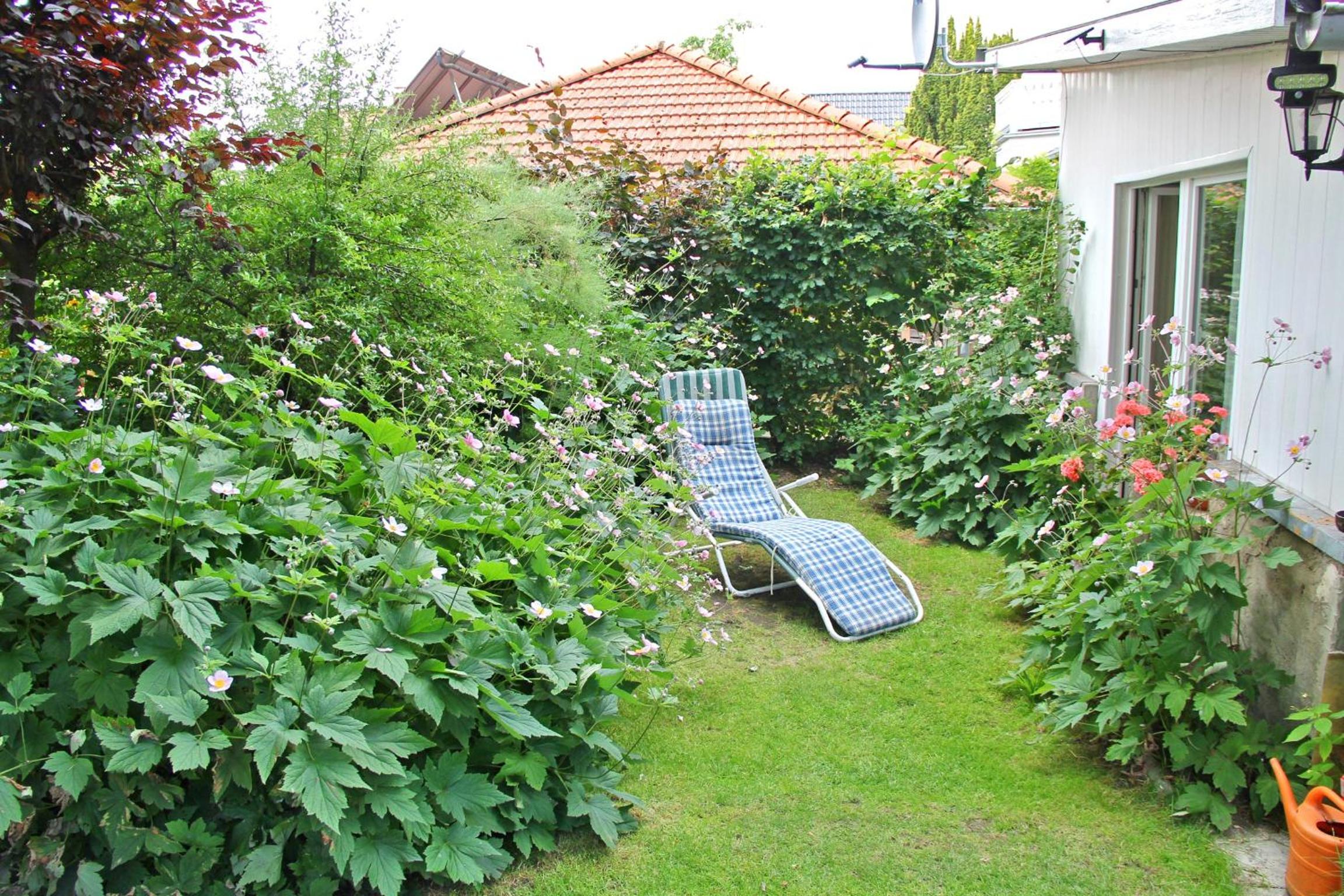 Apartment with Terrace photo 1