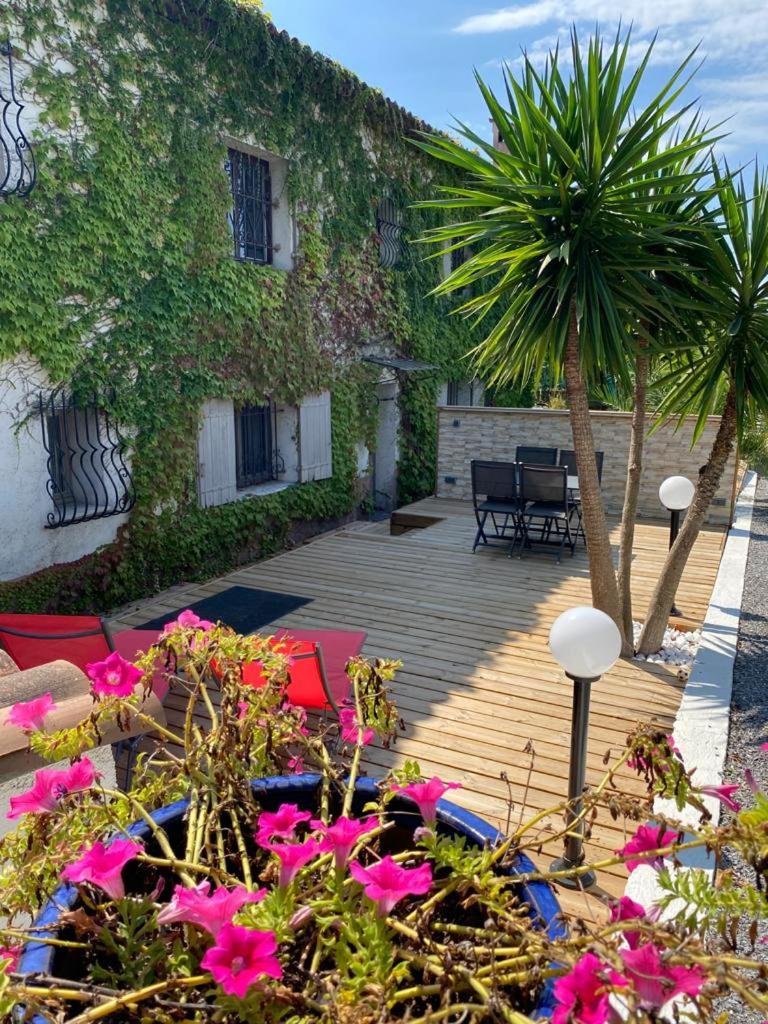 Apartment with Terrace photo 3