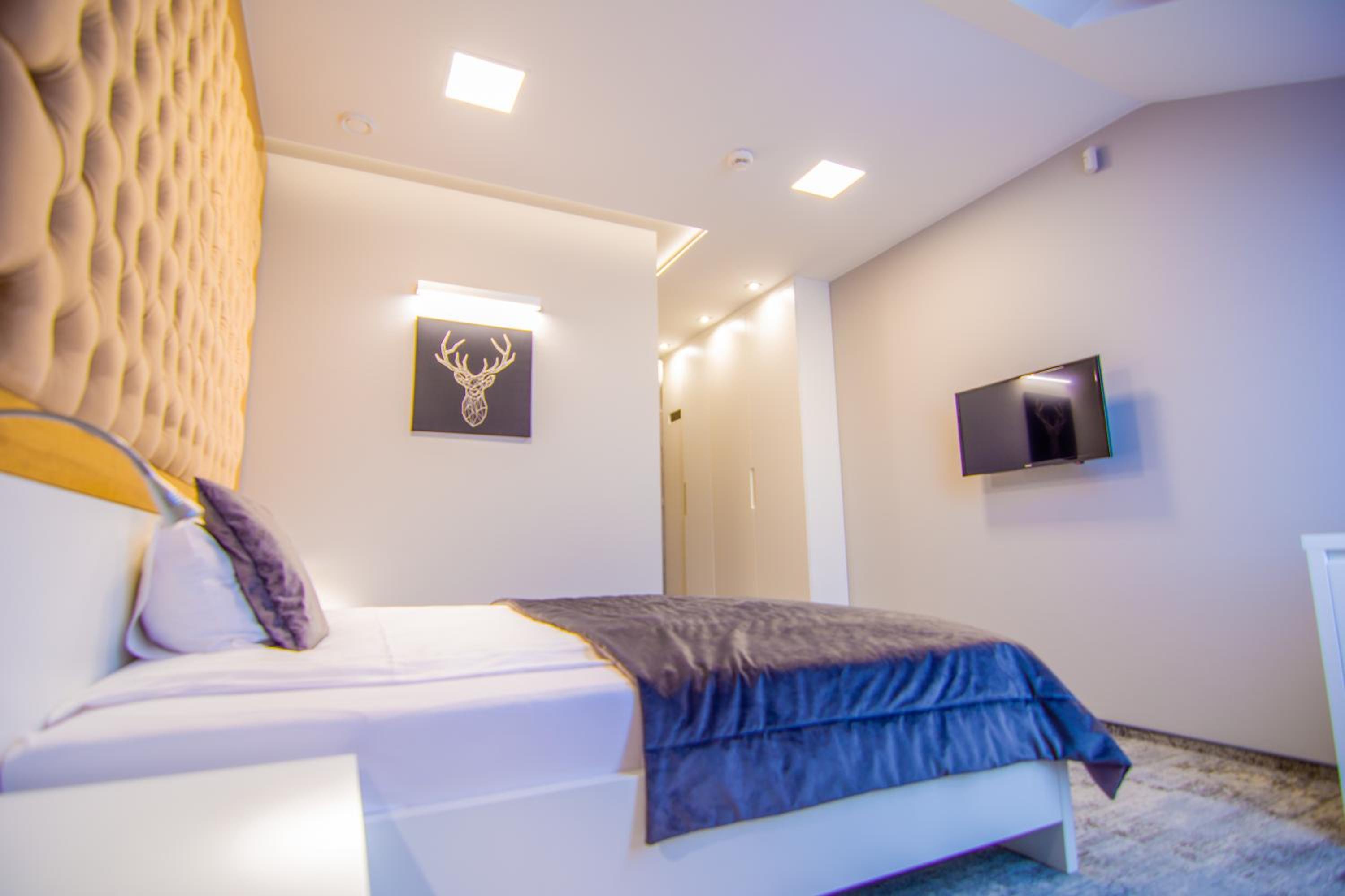 Single Room photo 1