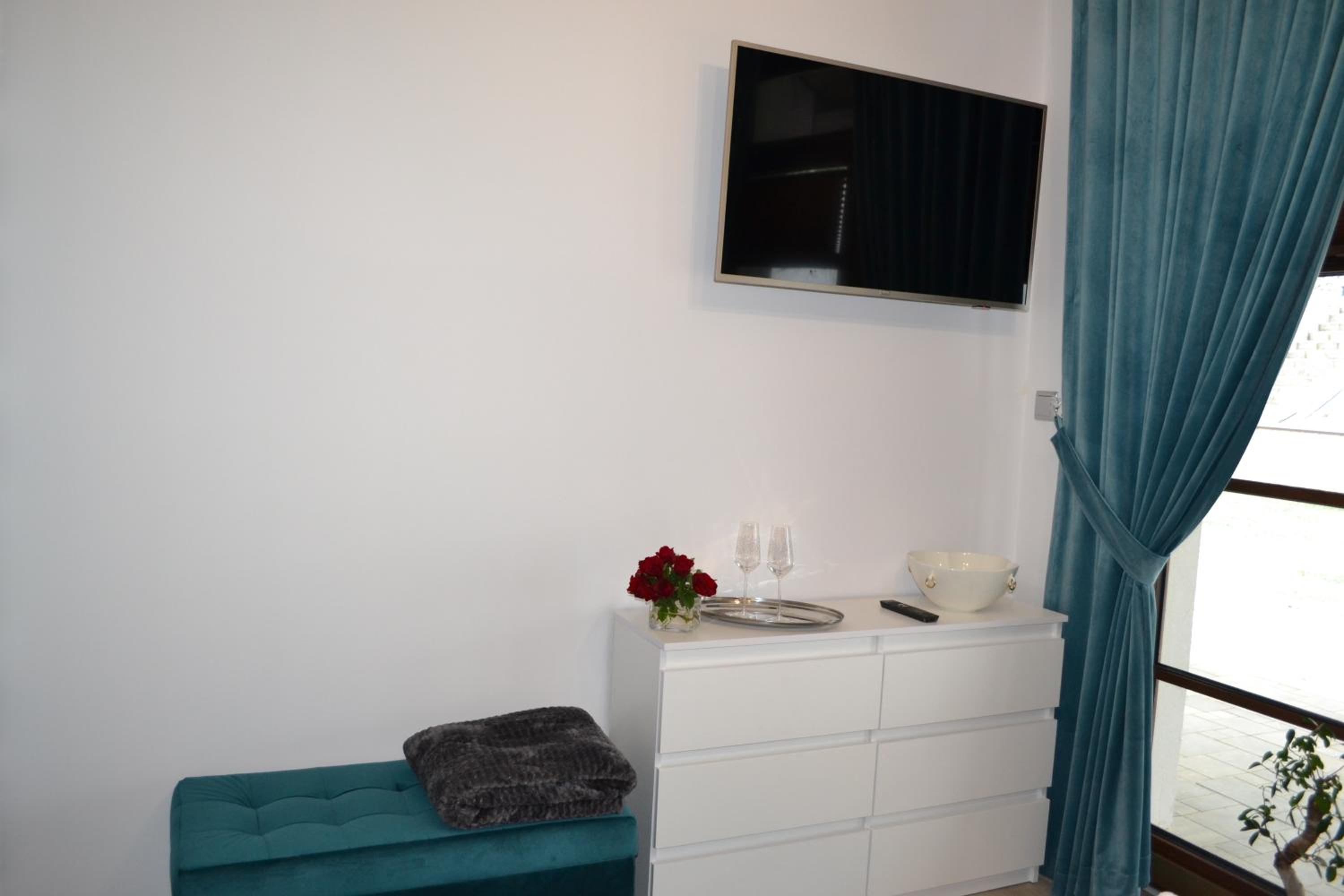 One-Bedroom Apartment photo 3