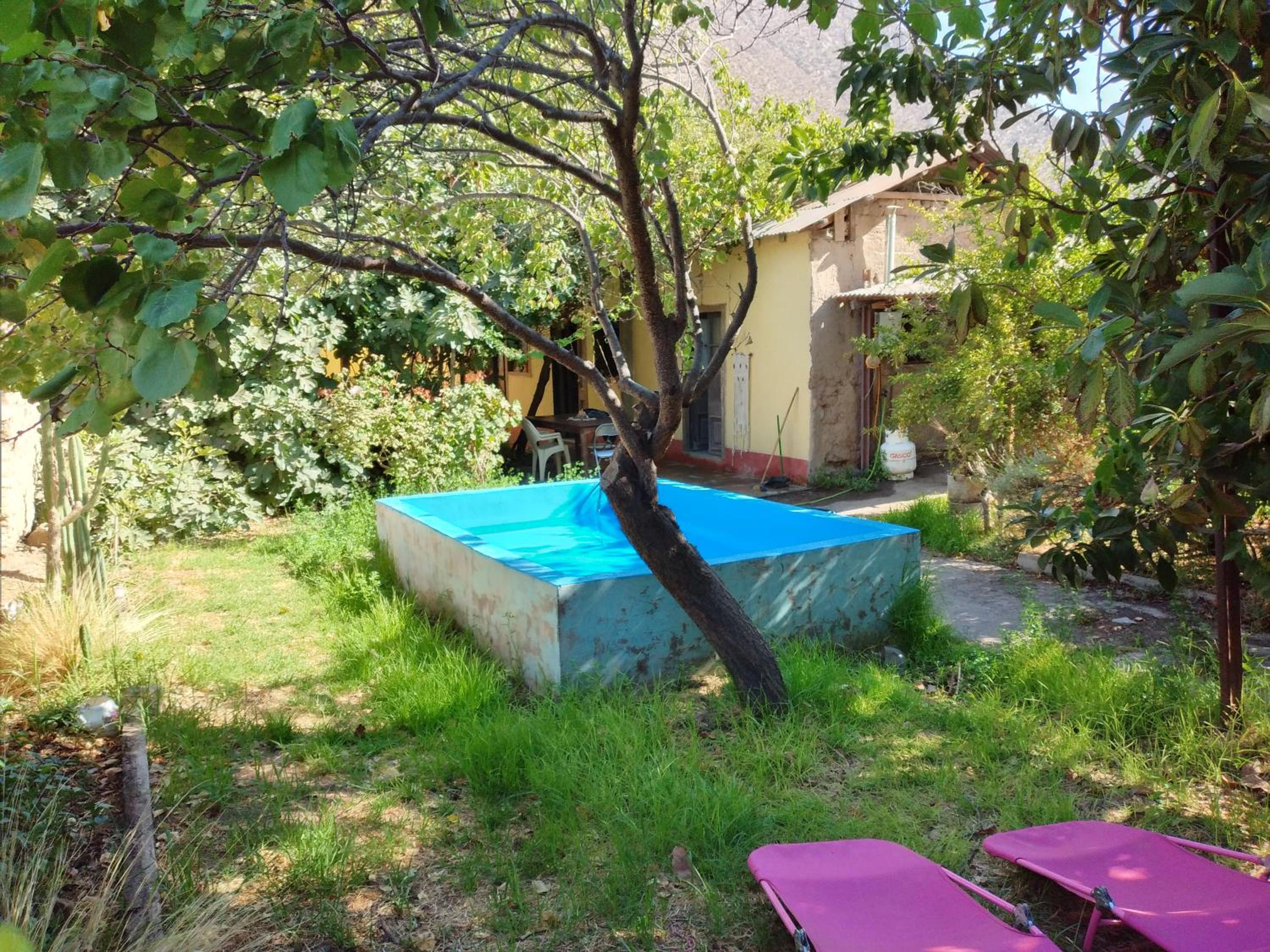 Three-Bedroom House photo 3