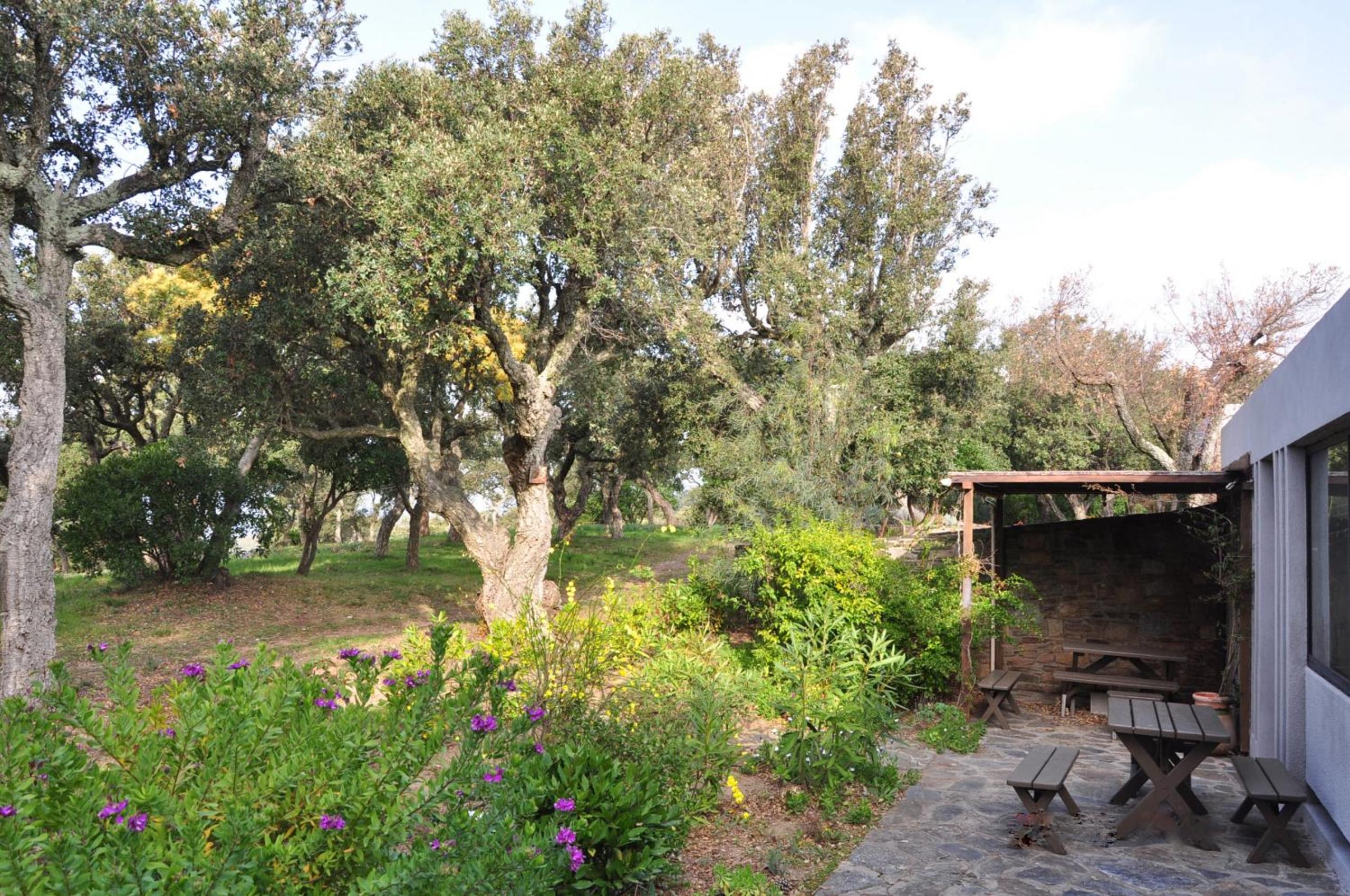 Villa with Private Pool photo 2