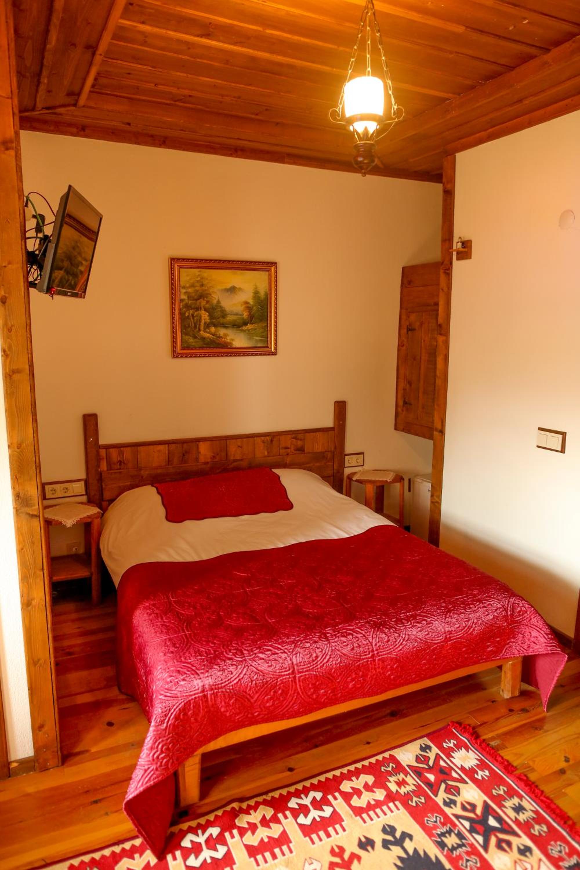 Double Room with Mountain View and Balcony photo 3