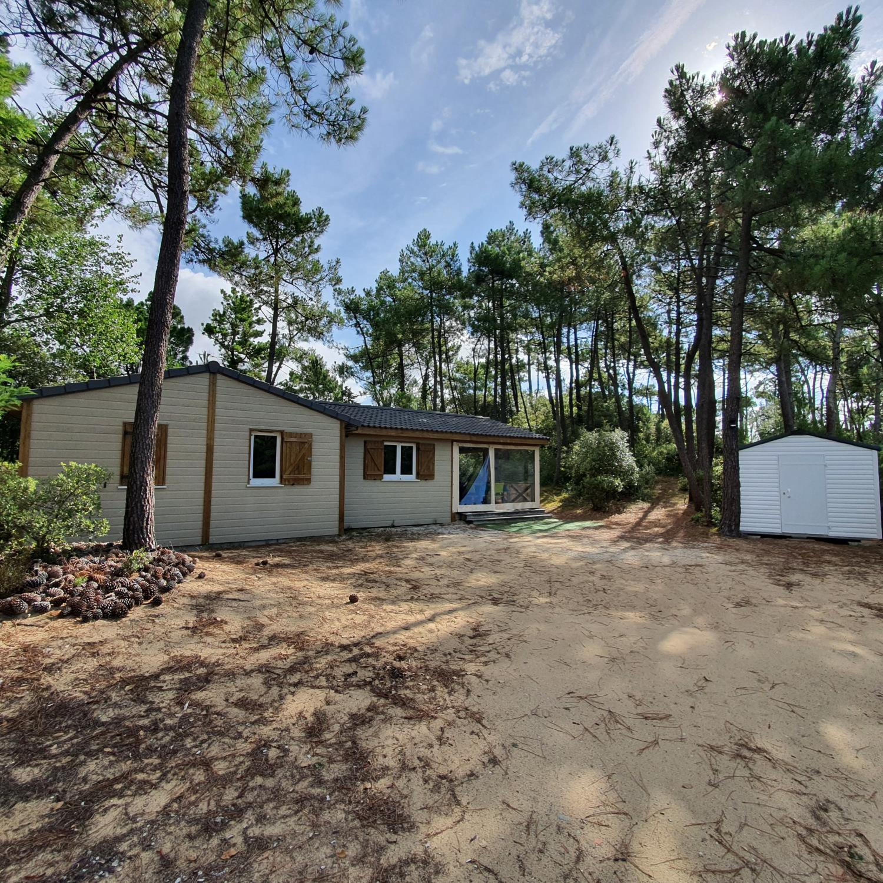 Three-Bedroom Chalet photo 1