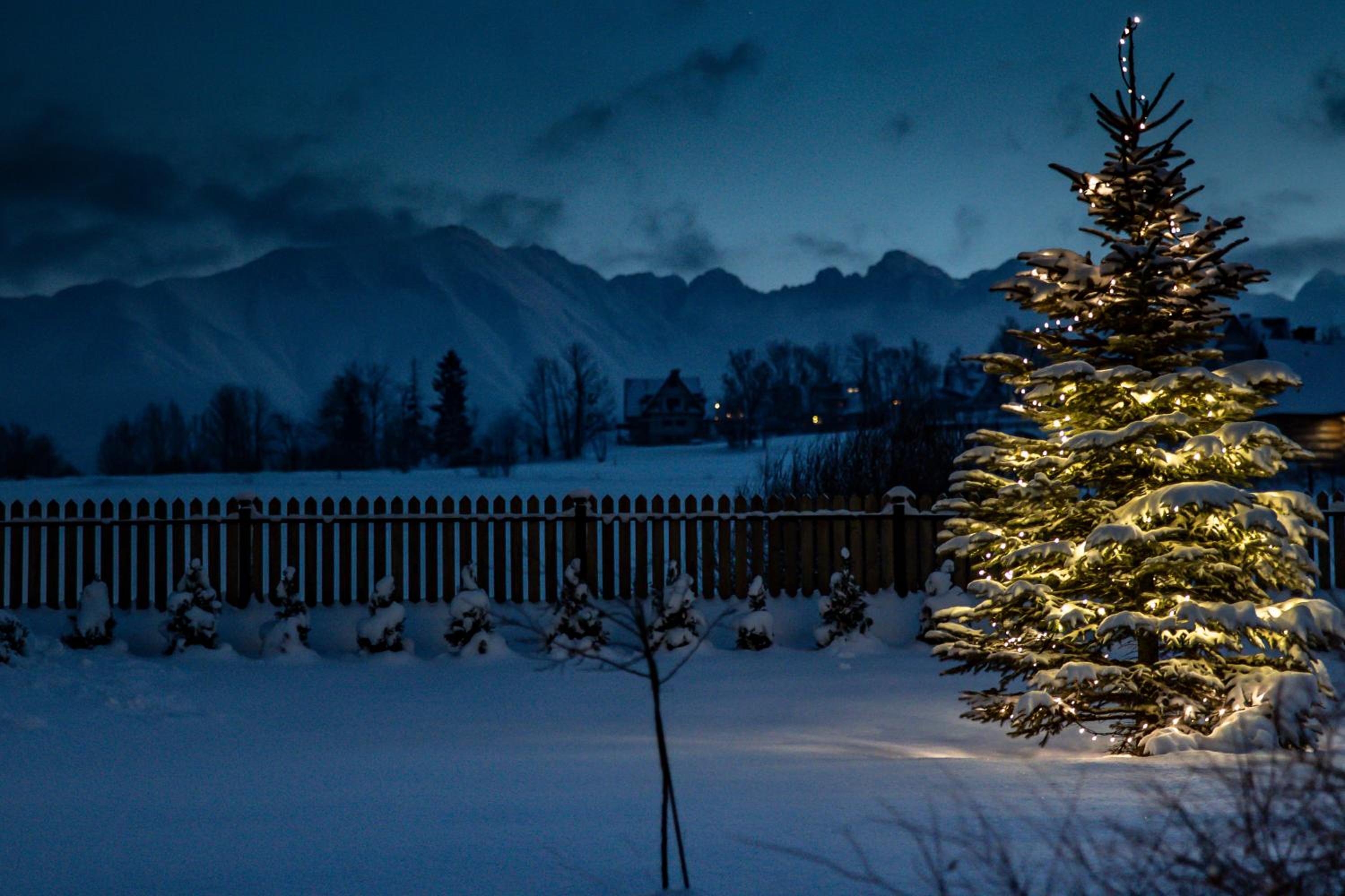 Two-Bedroom Chalet photo 1