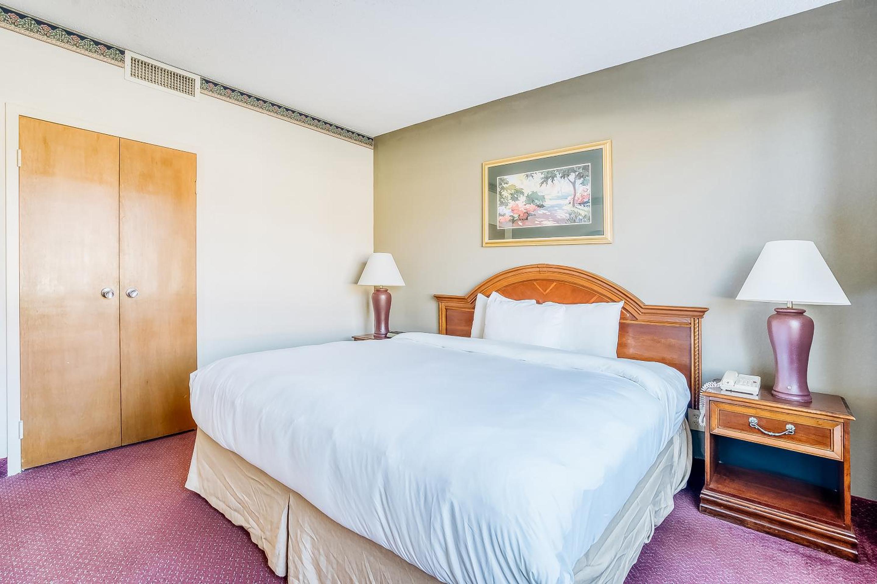 One-Bedroom Suite photo 1