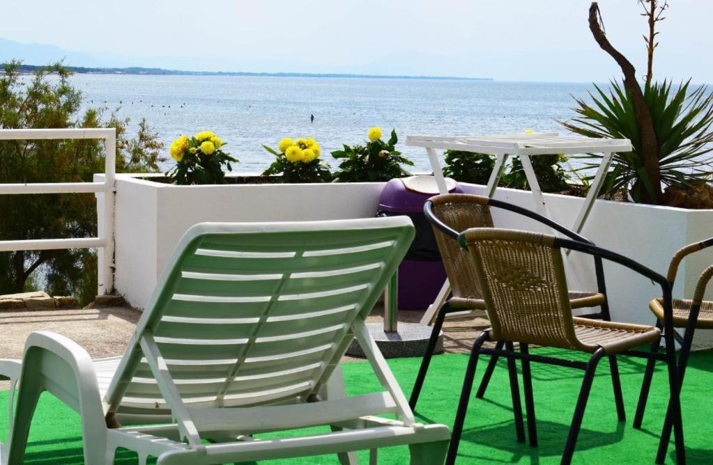 Studio with Terrace