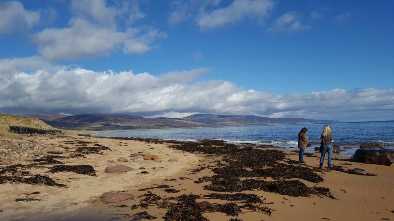 Holiday Home photo 3