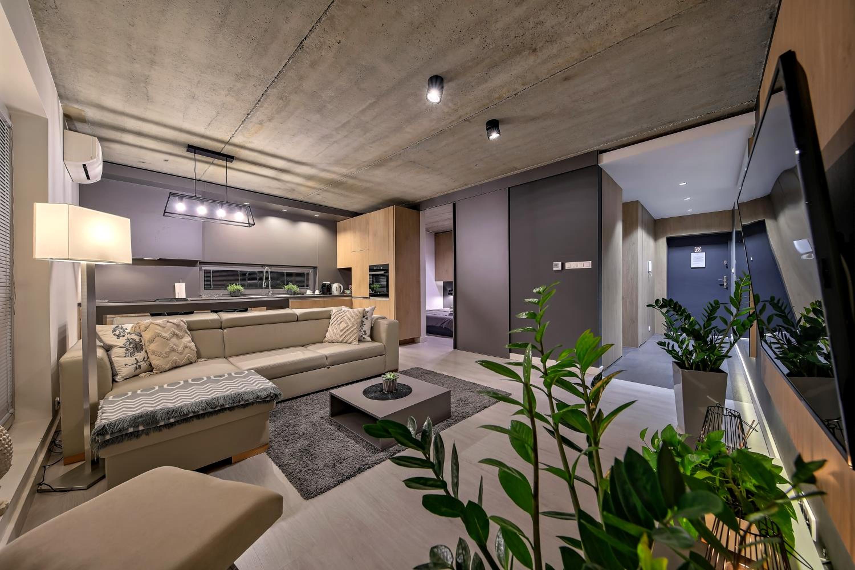 Deluxe Apartment