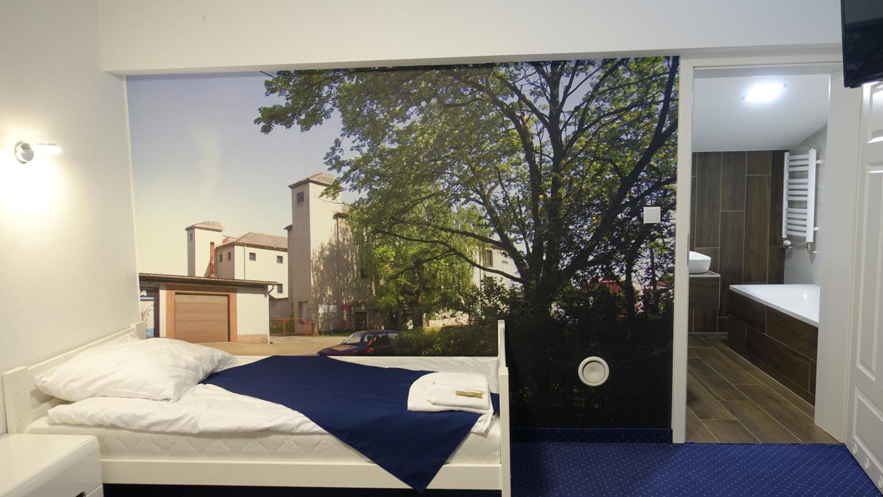 Double Room with Extra Bed photo 3