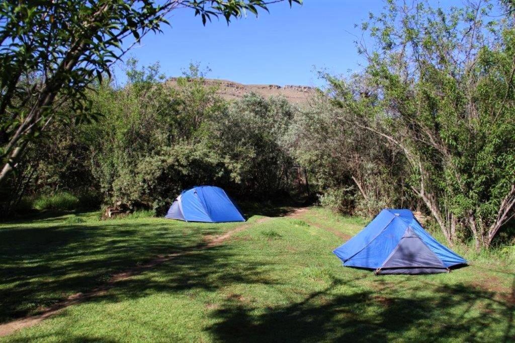  Tent 4