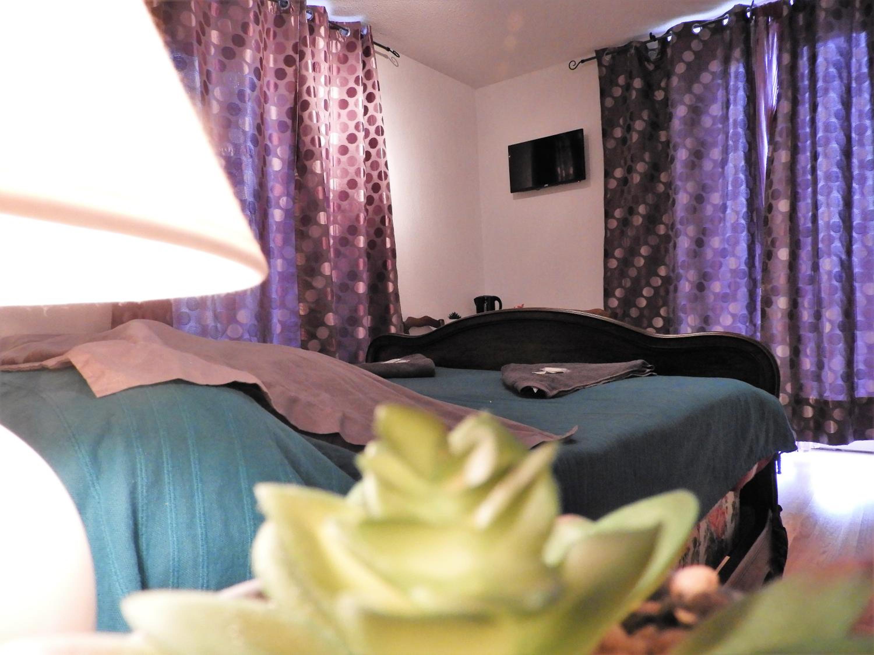 Family Room with Private Bathroom - Photo 1