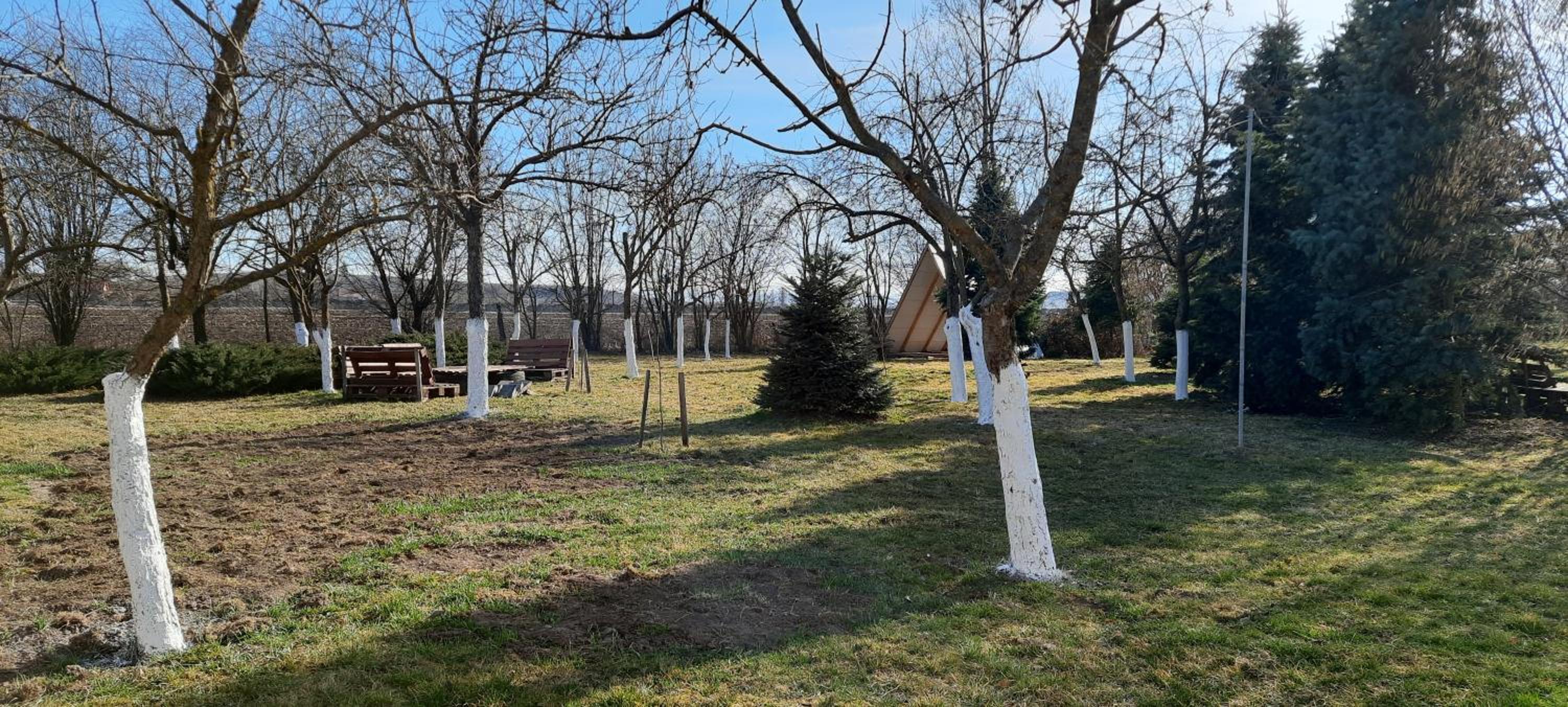 Empty lot - Photo 2