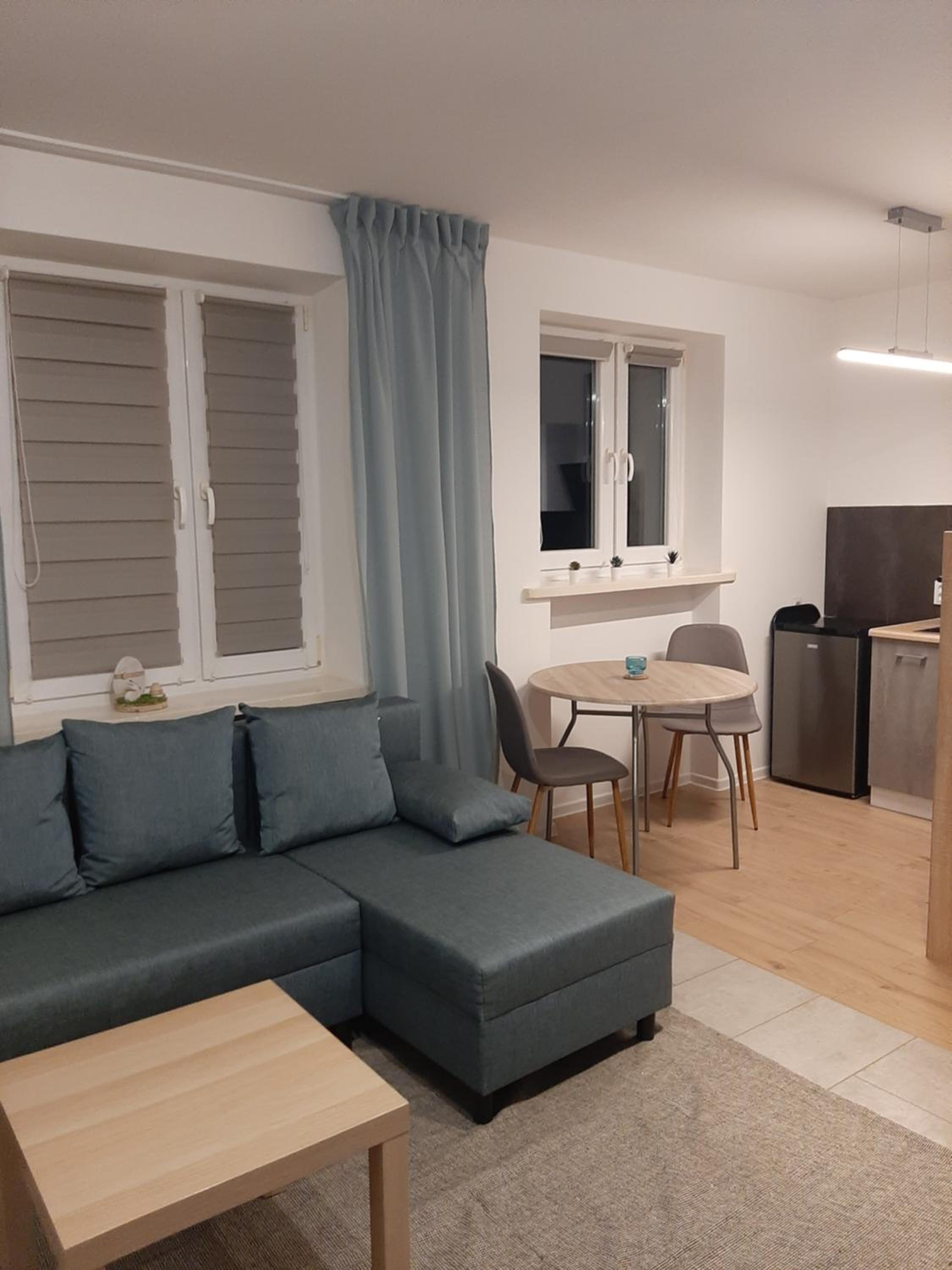 One-Bedroom Apartment - Photo 4