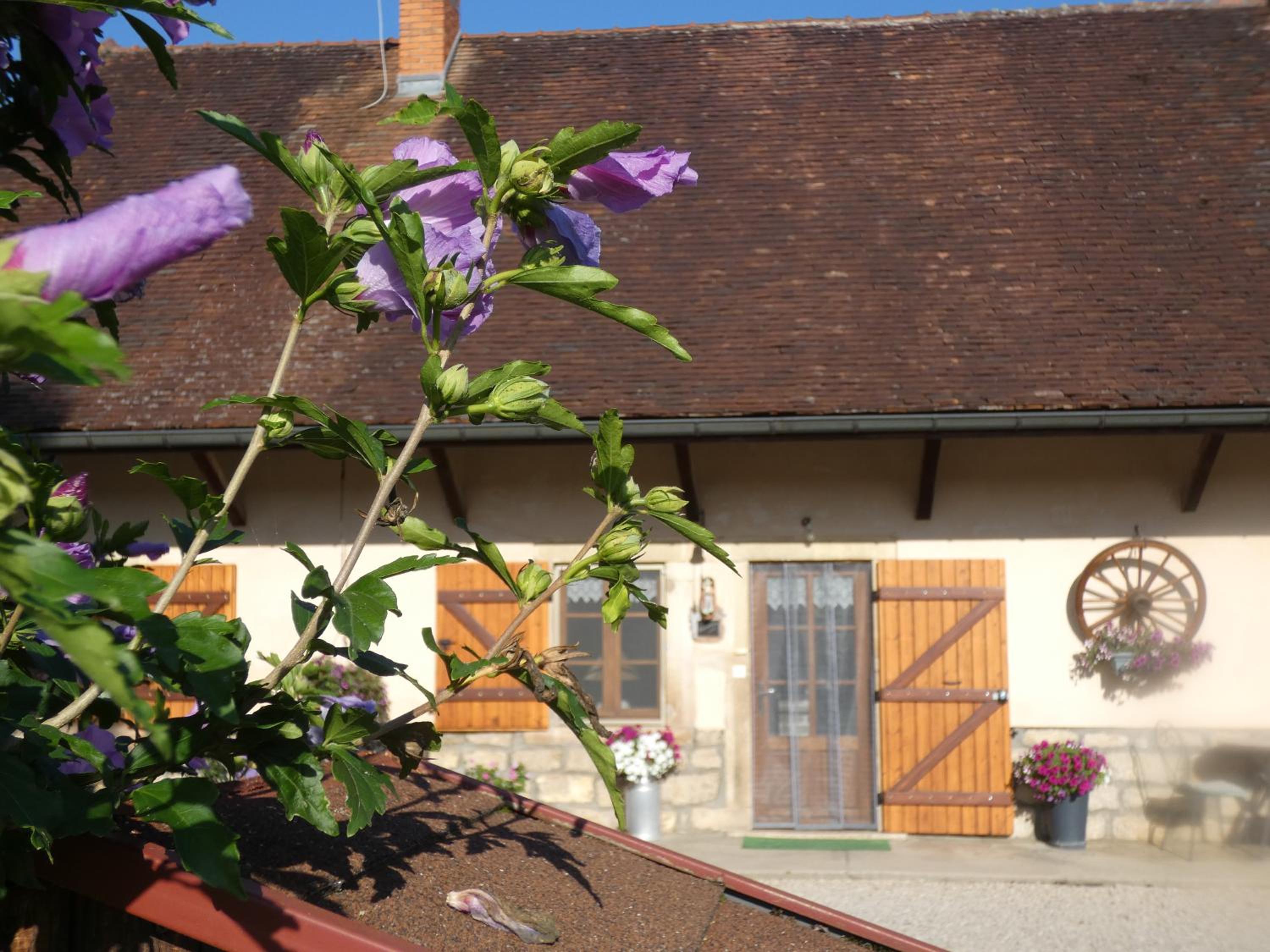 Double Room with Garden View photo 3