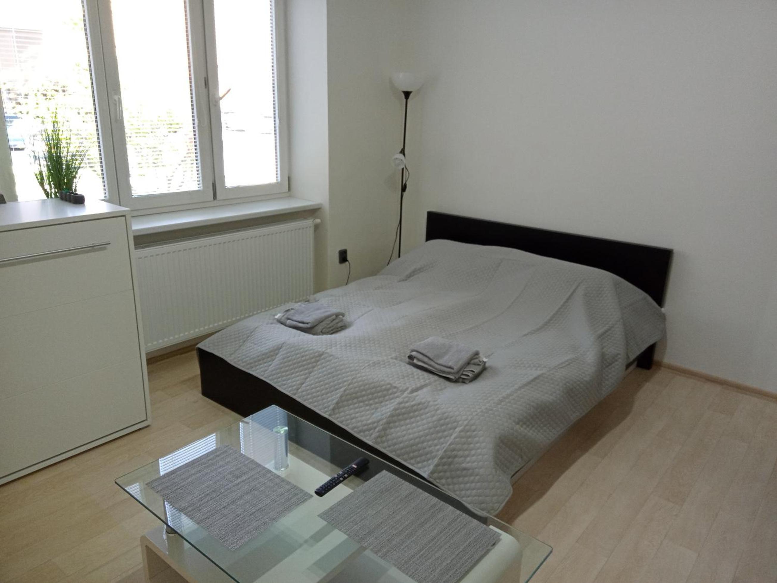 One-Bedroom Apartment - Photo 3