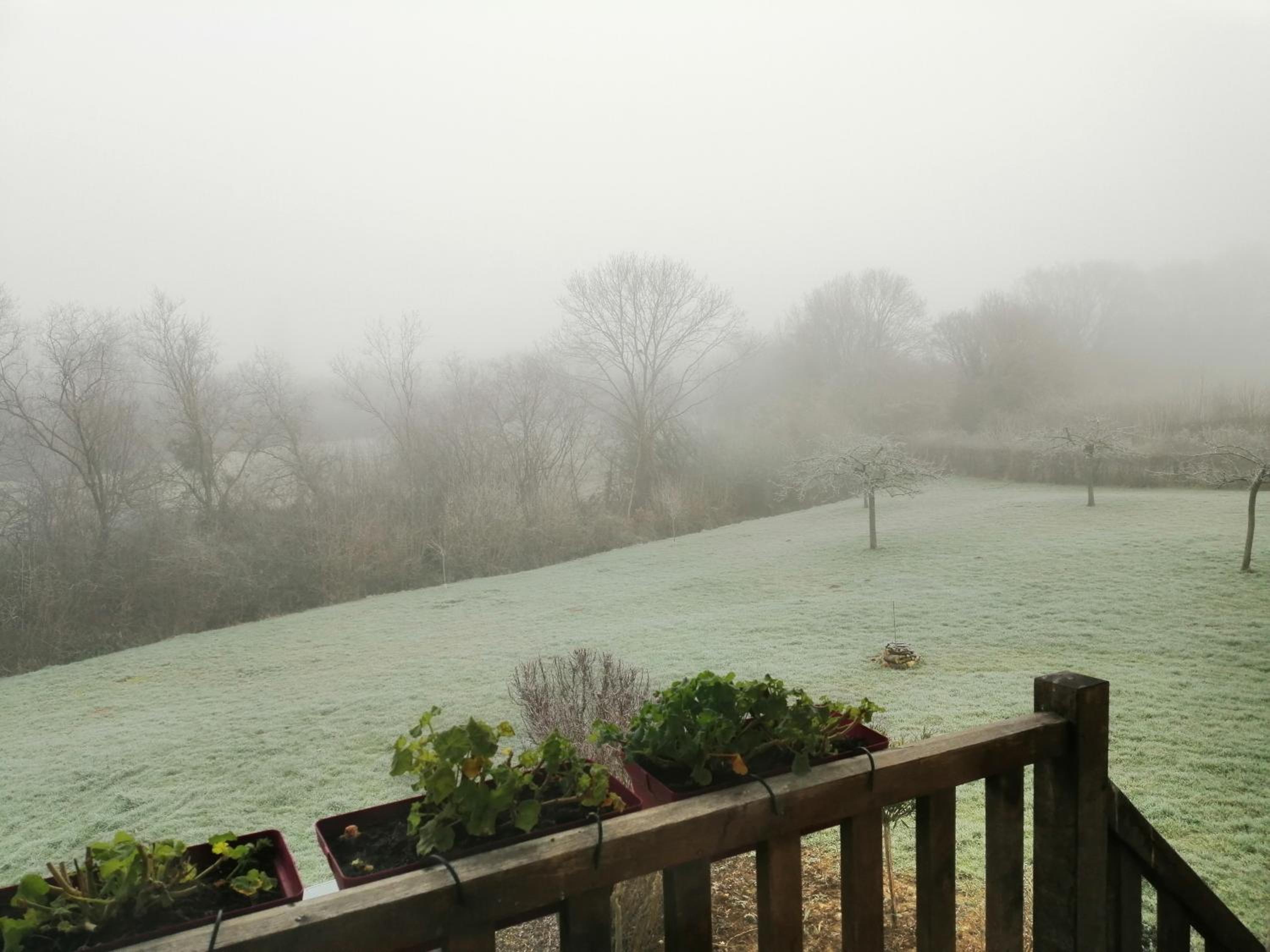 Double Room with Garden View photo 3