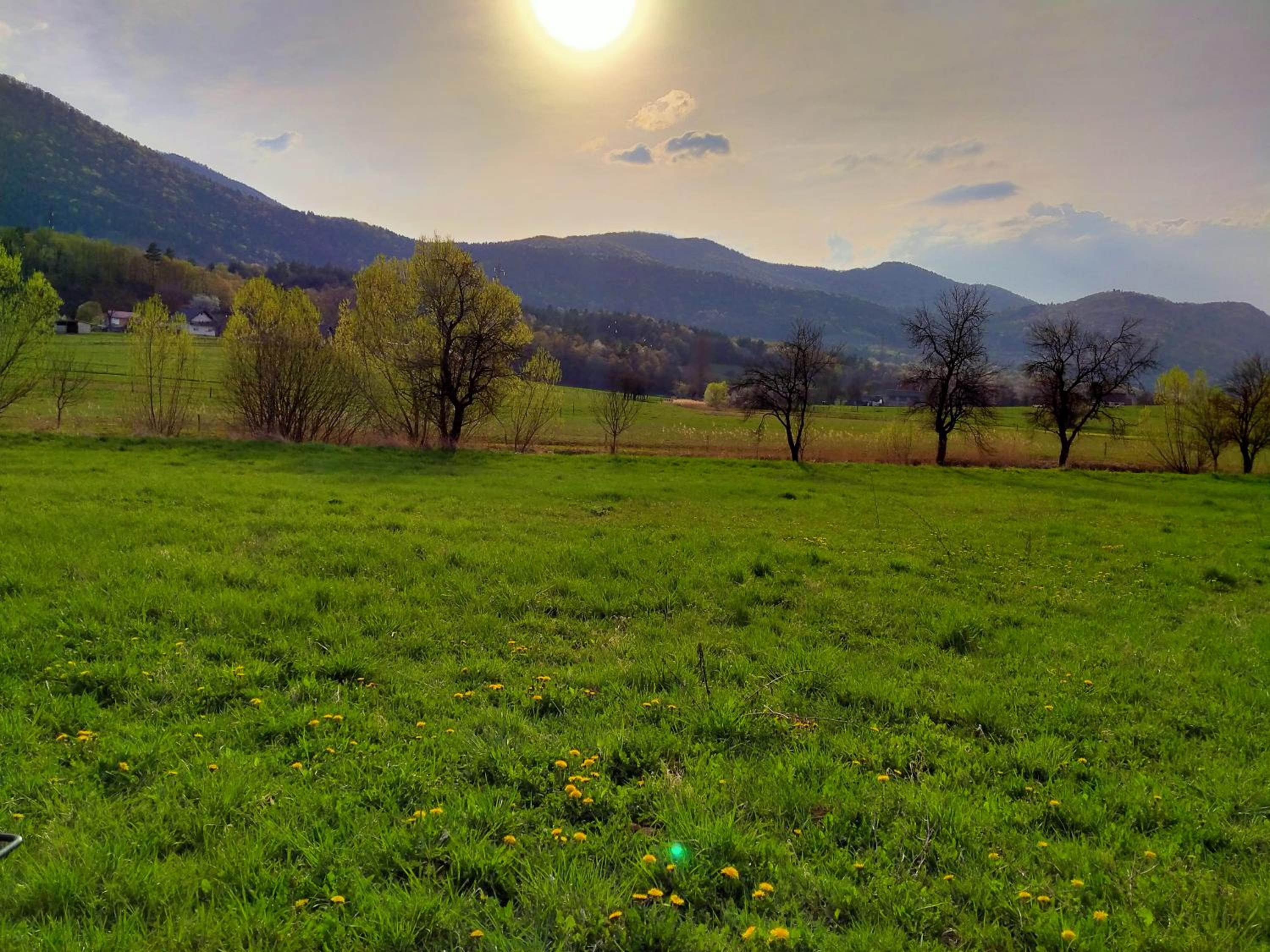 Tent Bojana - Photo 3