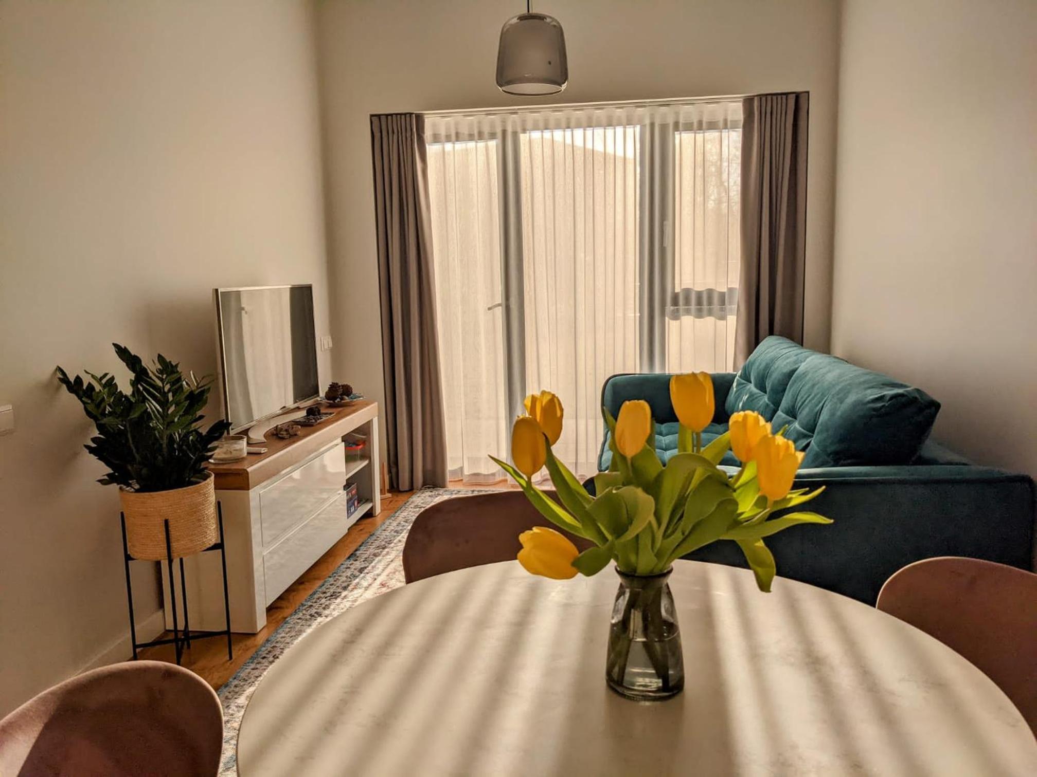 One-Bedroom Apartment photo 3