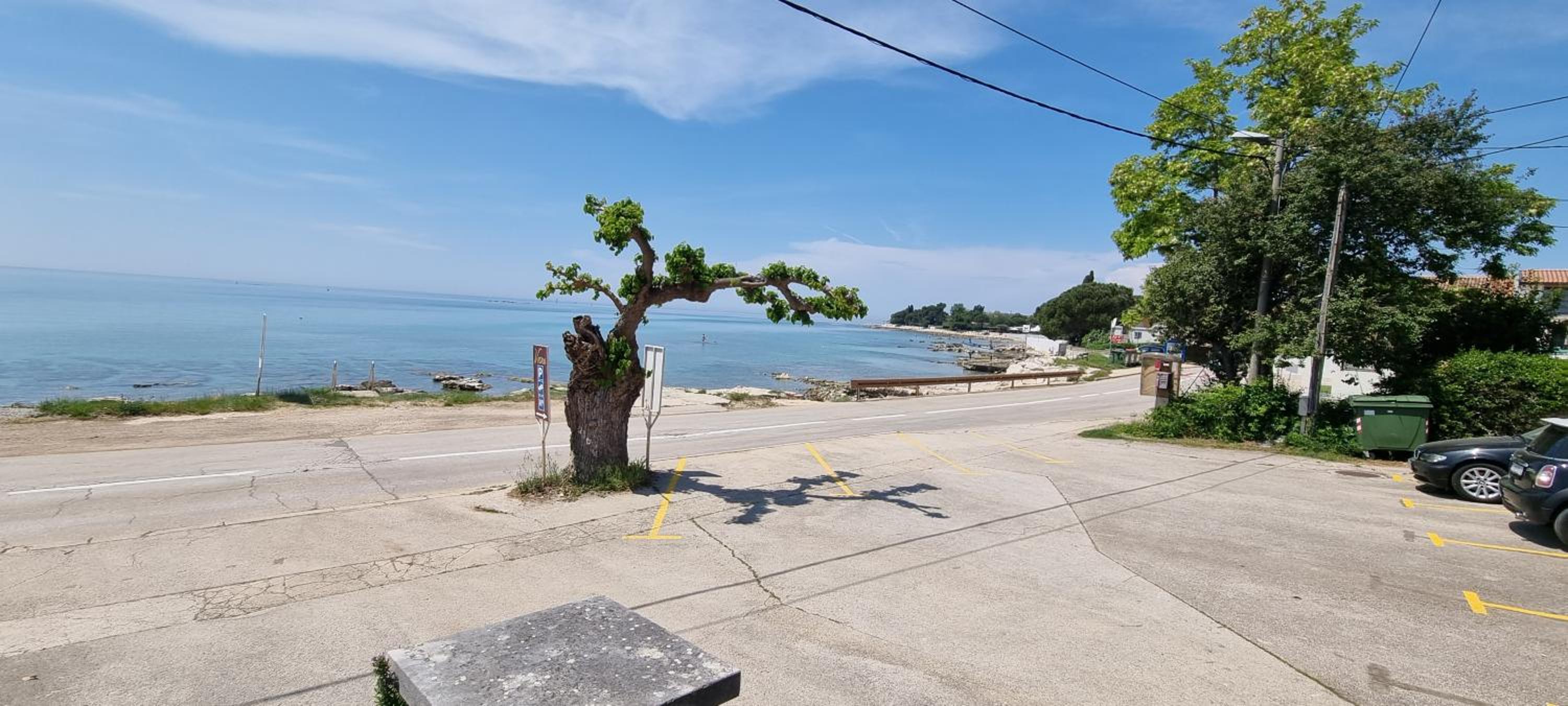 Studio Apartment with Sea View photo 3