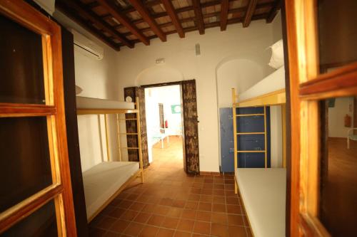 Bed in 4-Bed Mixed Dormitory Room