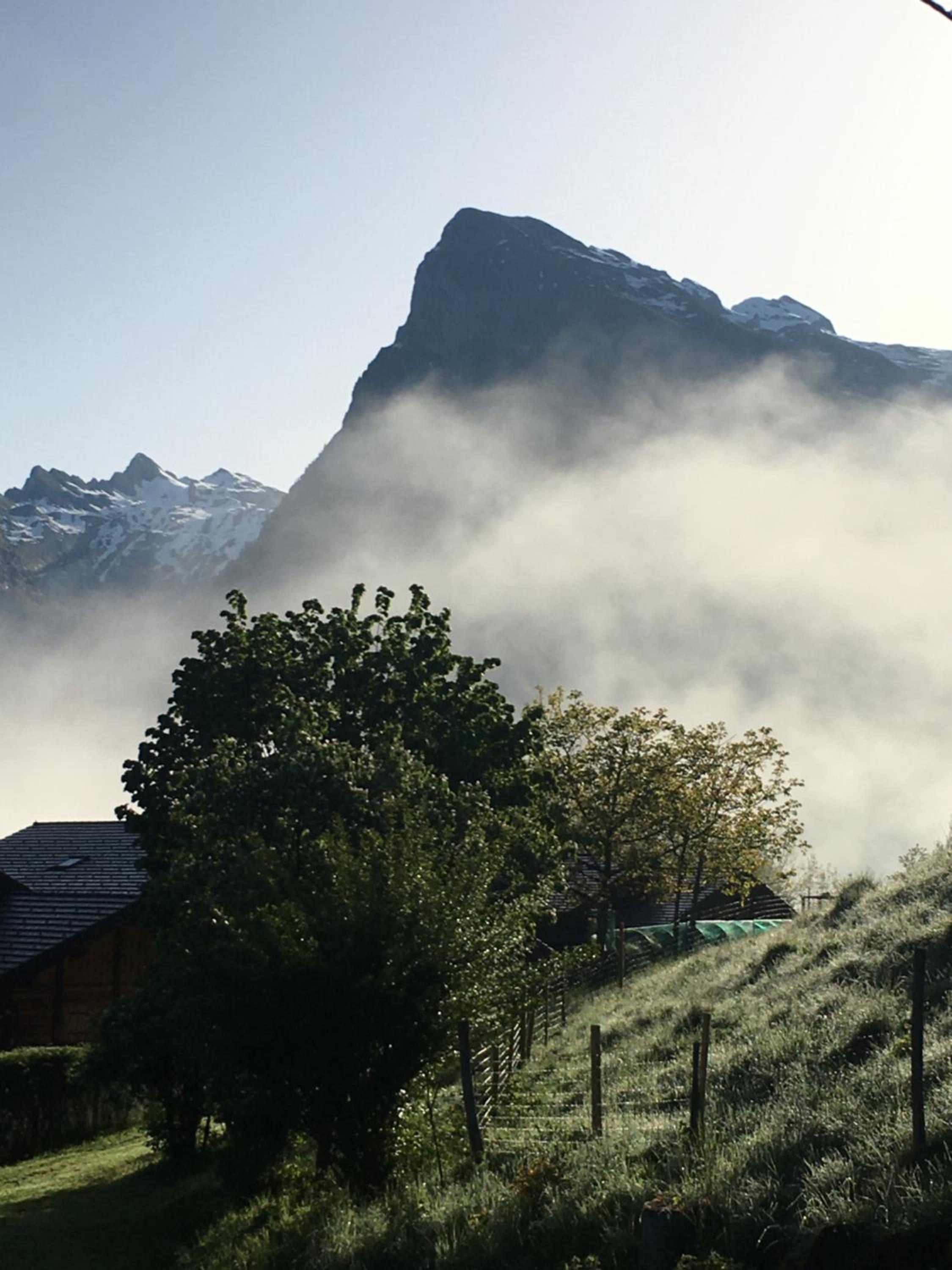 Double Room with Mountain View