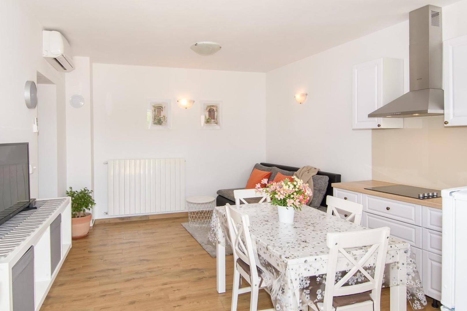 Apartment with Terrace photo 2